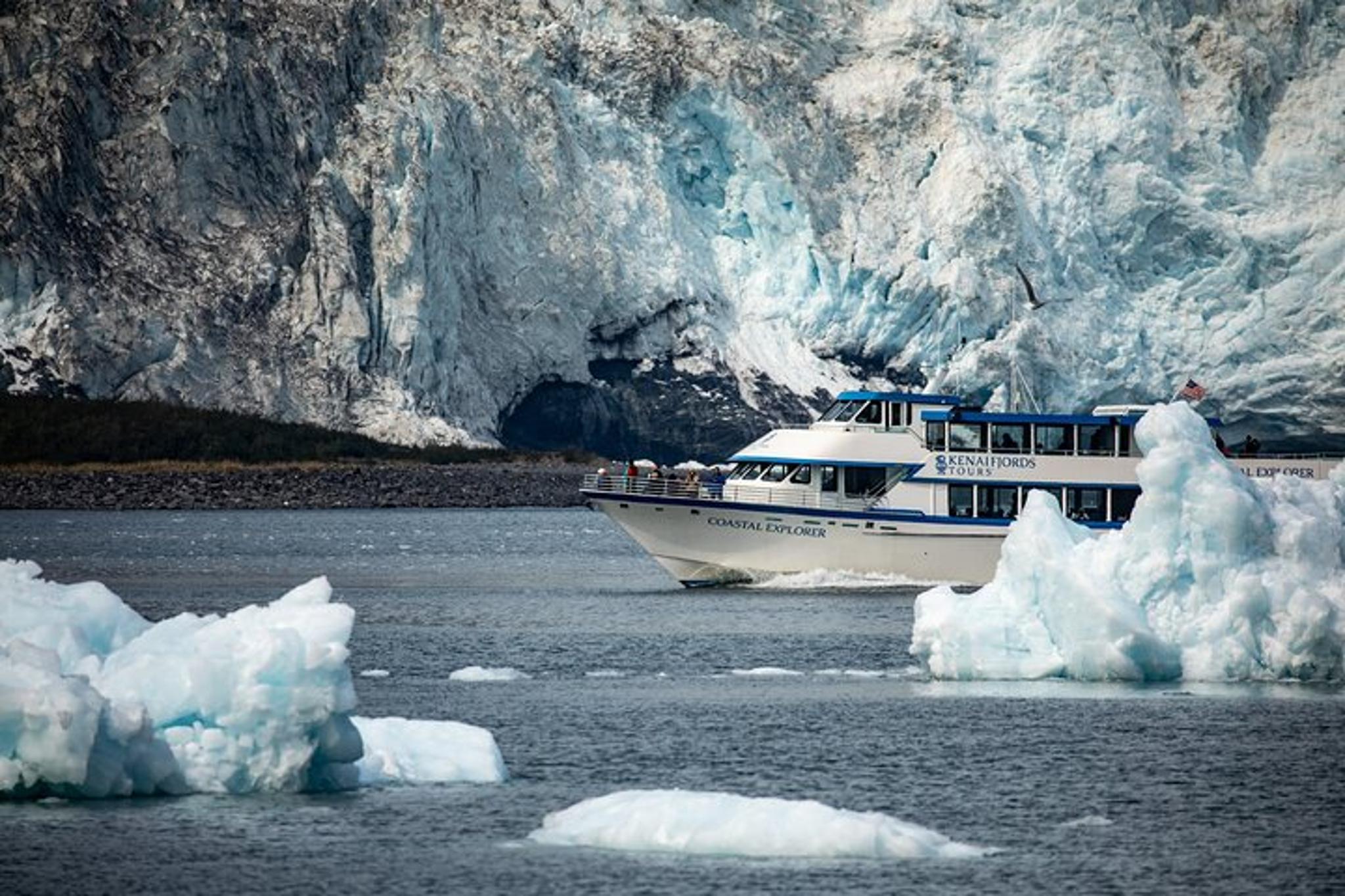 Seward Glacier & Wildlife Cruise in Kenai Fjords