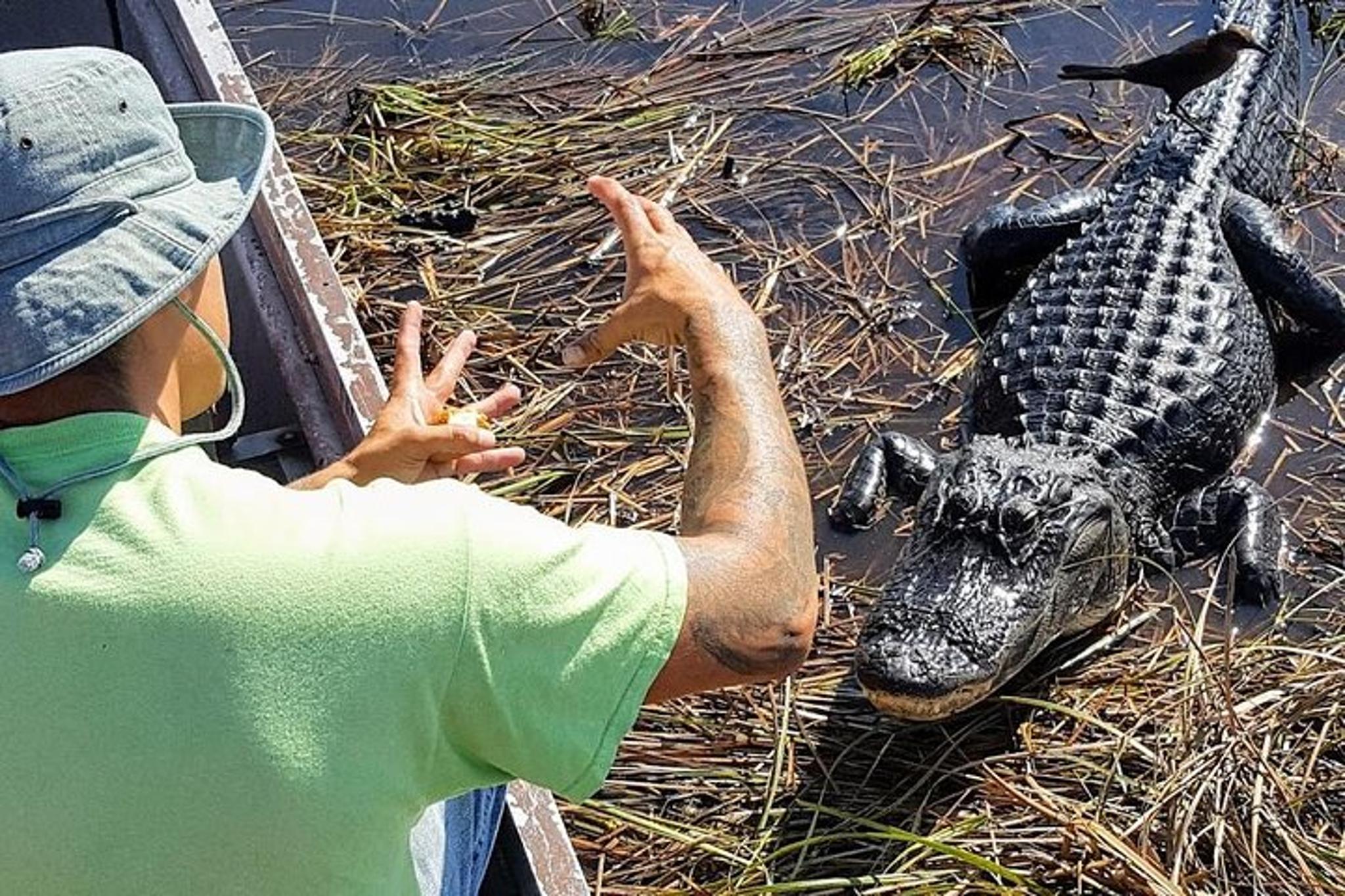 Miami Everglades National Park Airboat Tour - Image 2
