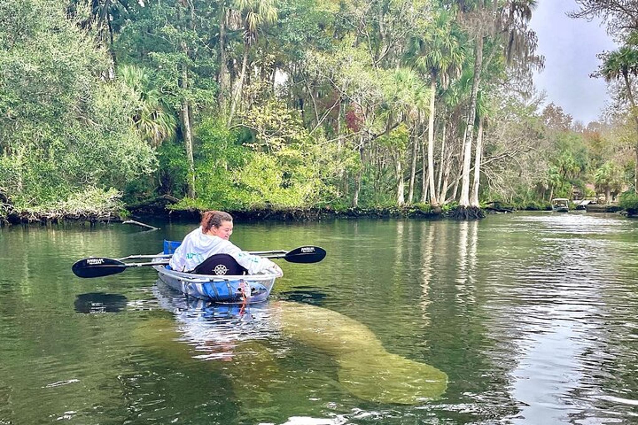 Chassahowitzka River Clear Kayak Tour - Image 6
