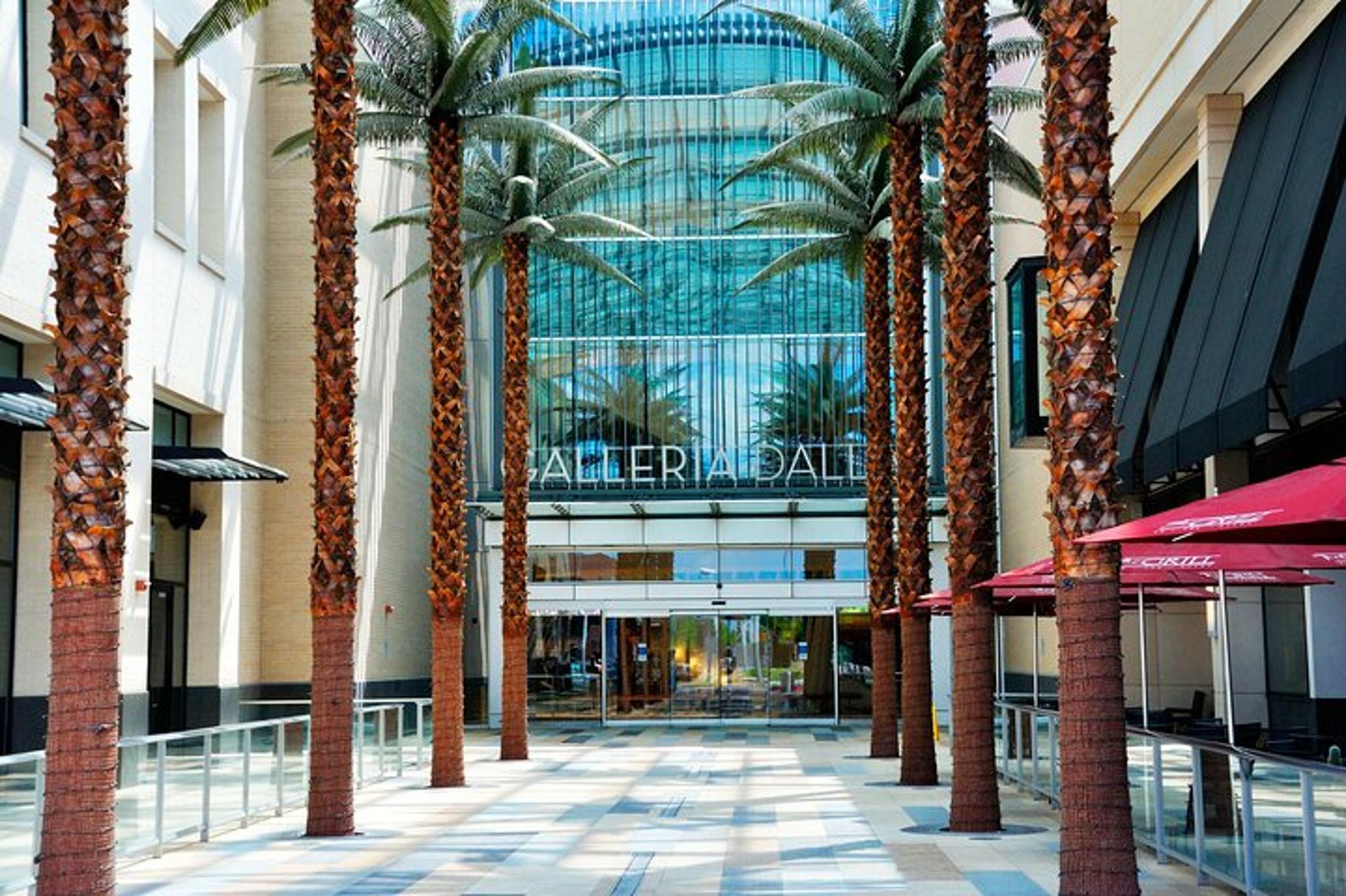 Dallas Shopping Malls Private Limousine Tour