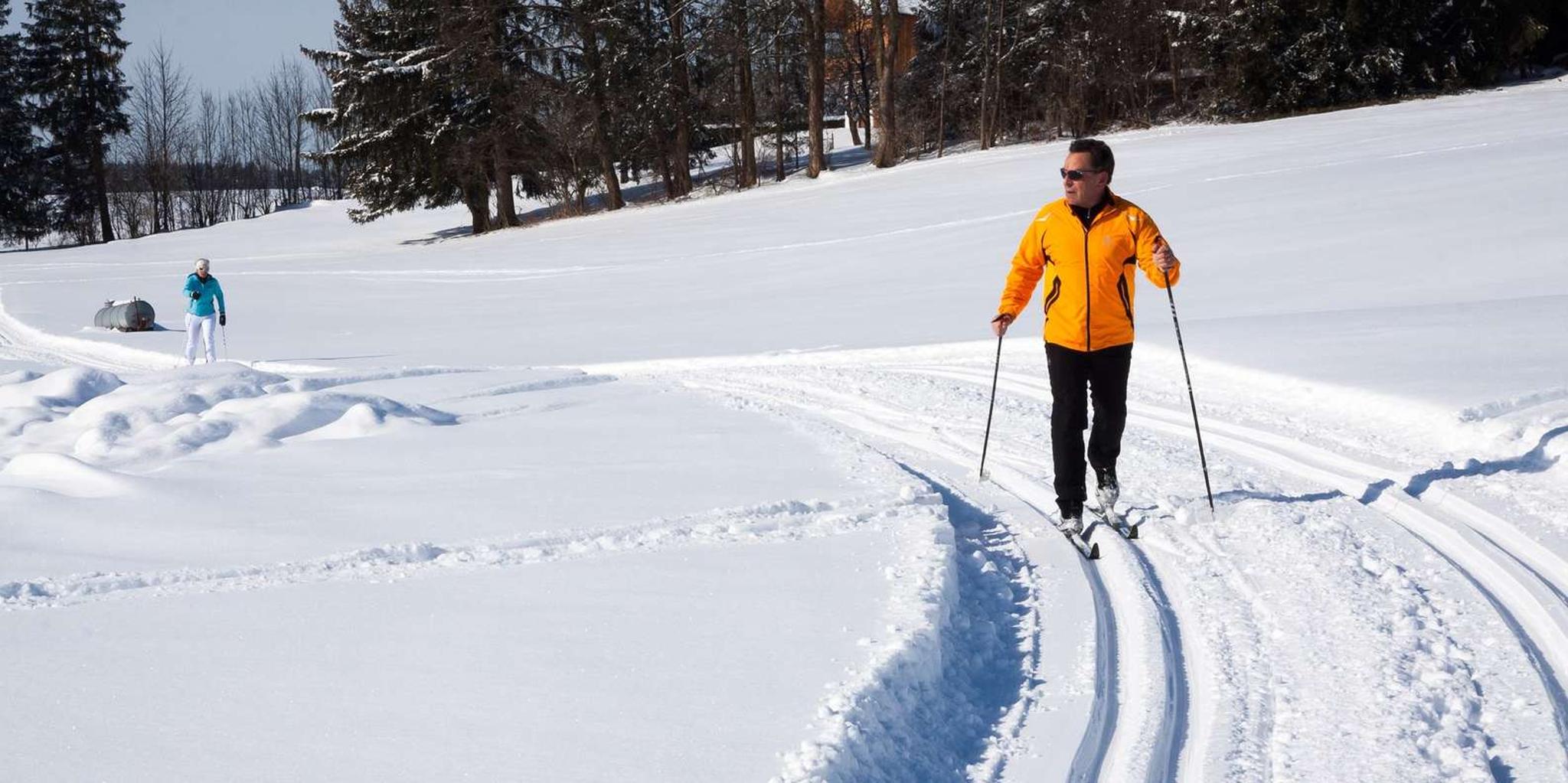Gardiner Yellowstone Cross-Country Ski Tour - Image 3