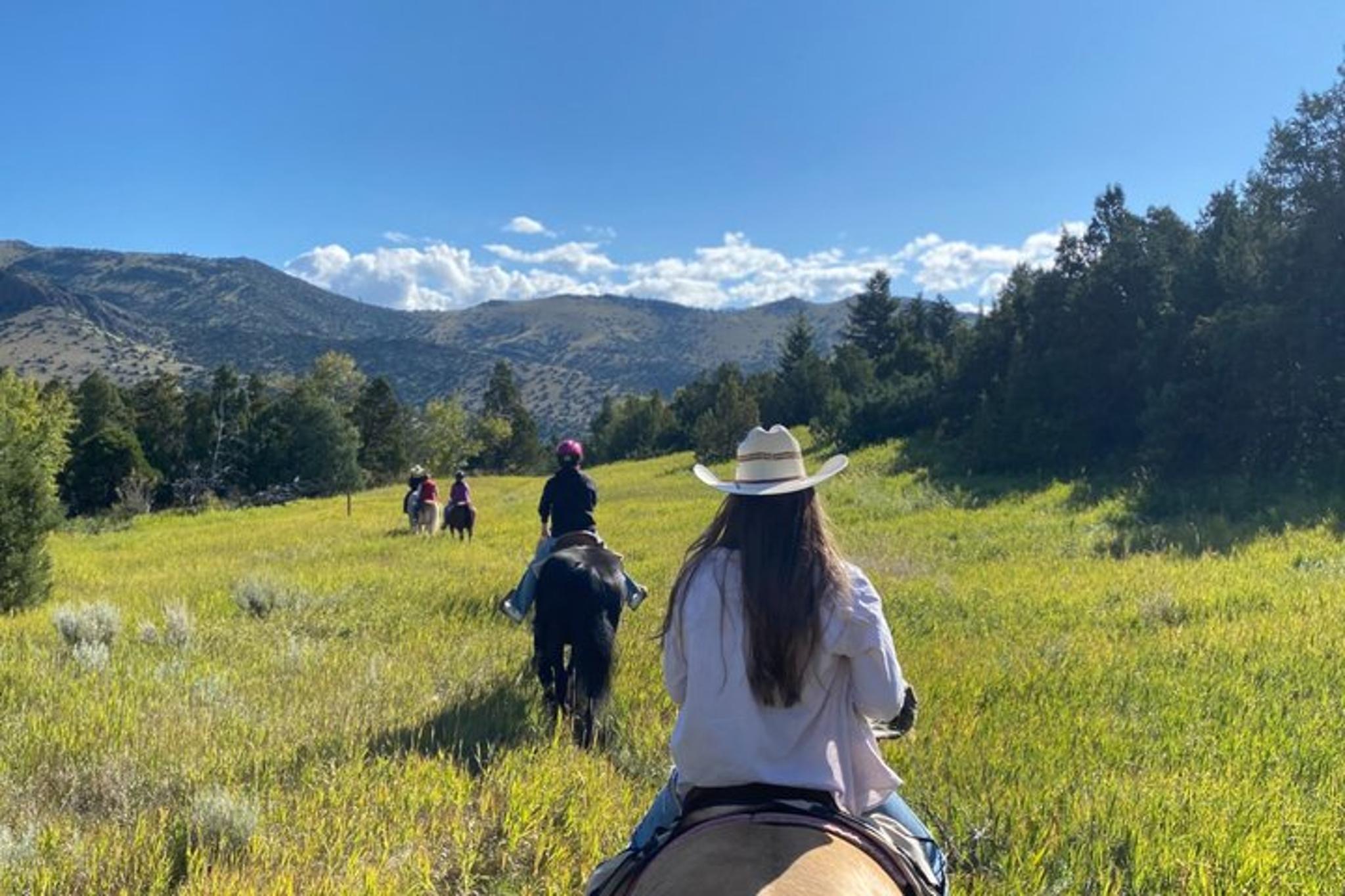 Montana Trail Ride in Paradise Valley 2 hr - Image 5