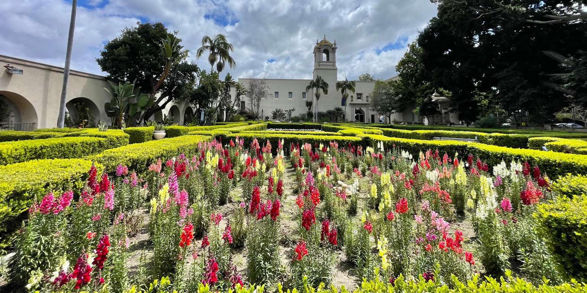 San Diego Private Tour in a Lexus ES300H - Image 3
