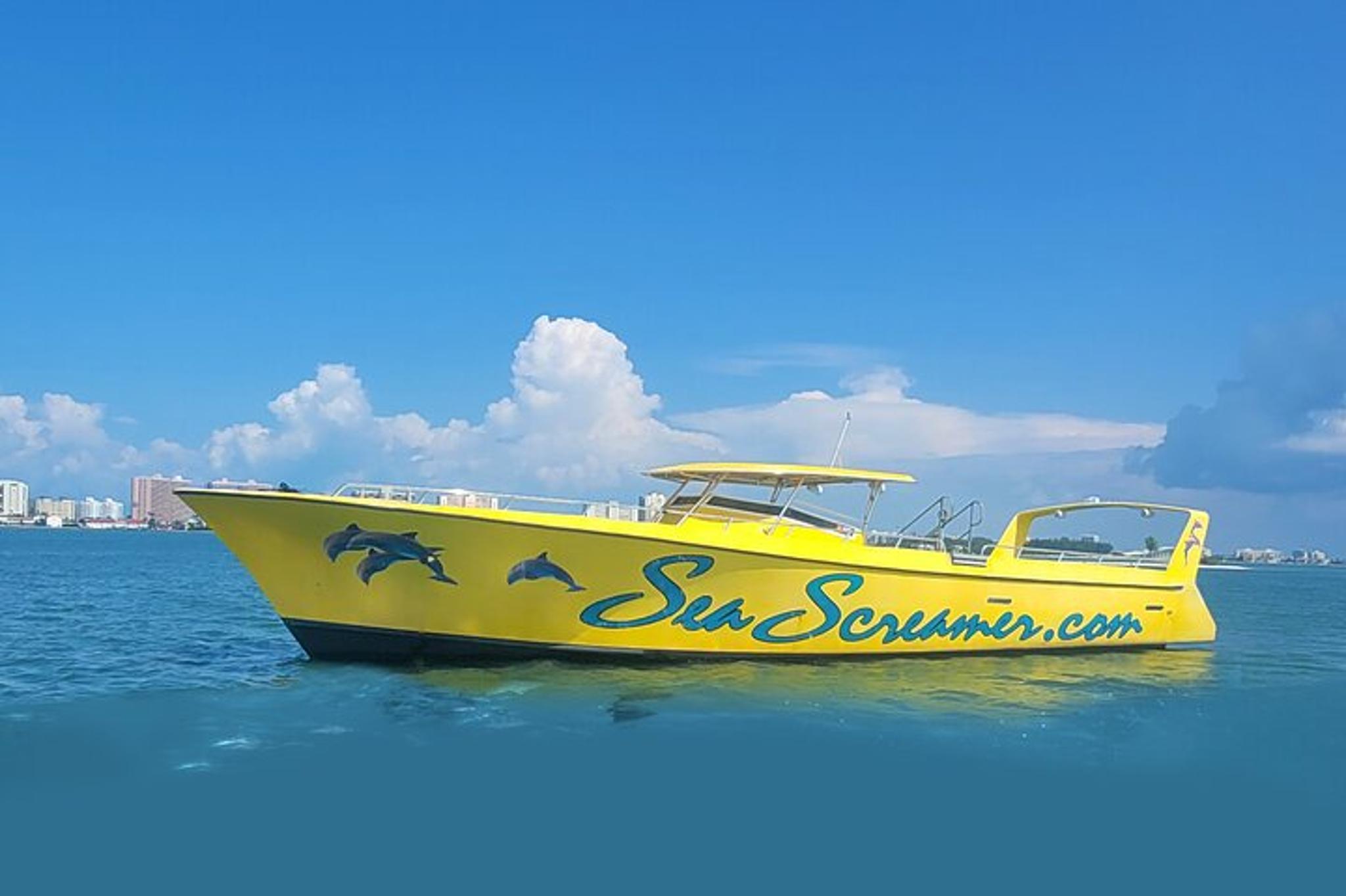 Clearwater Dolphin Watching Speed Boat Tour - Image 3