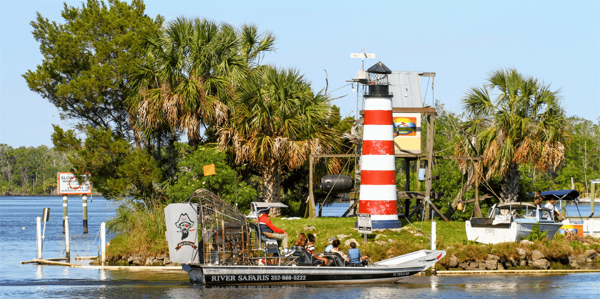 Homosassa Airboat Ride and Dolphin Watching - Image 6