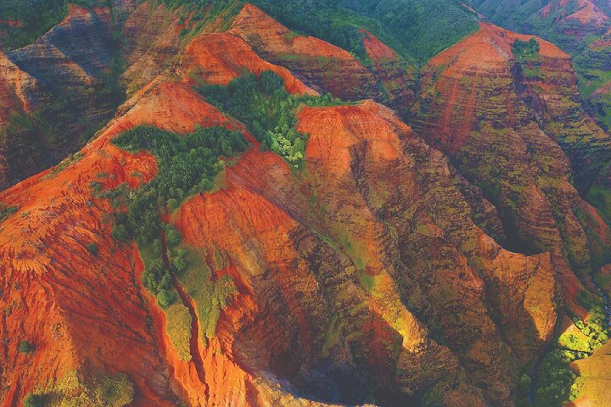 Kauai Waimea Canyon & Koke'e Tour from Oahu