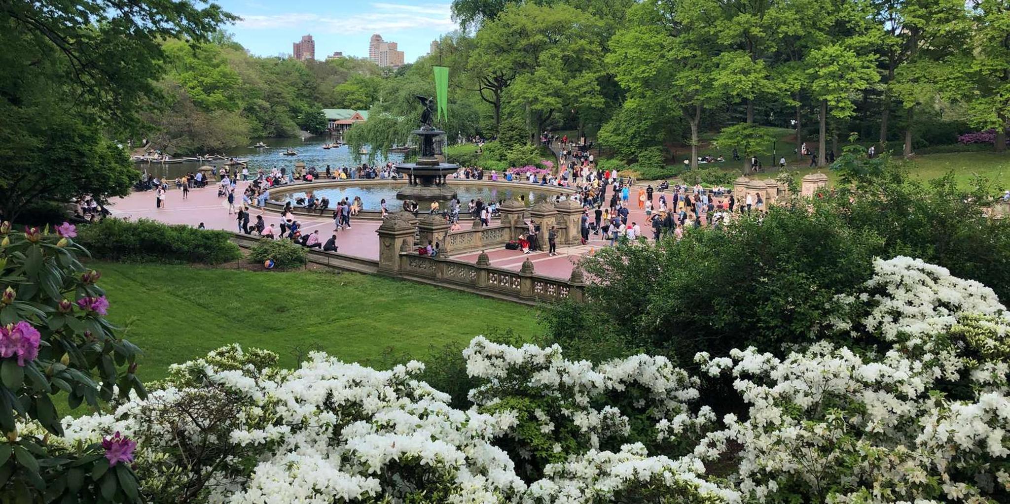 New York Horse Carriage Ride with Tavern on the Green - Image 5