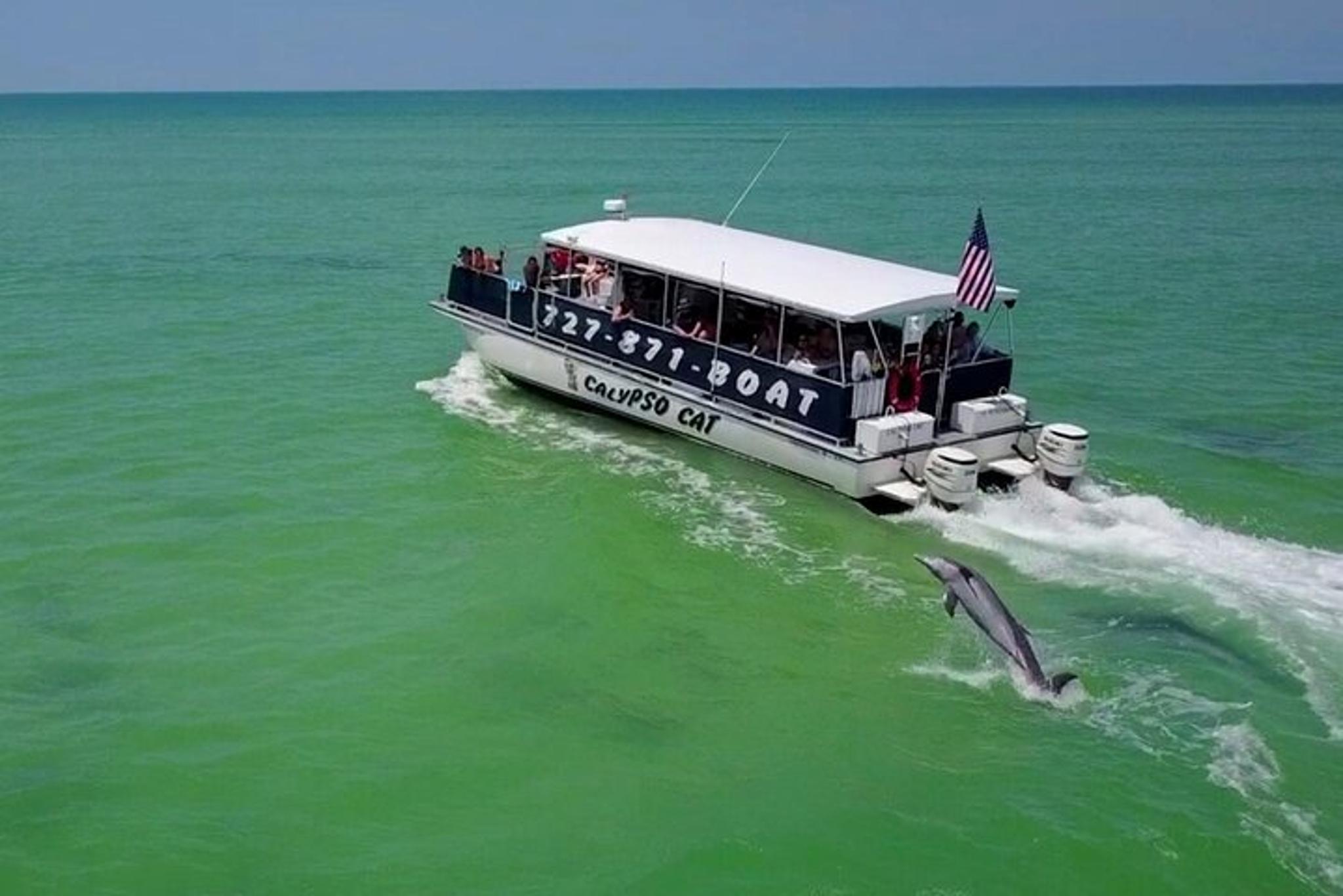 Egmont Key Island Tour with Dolphins & Snorkeling - Image 3