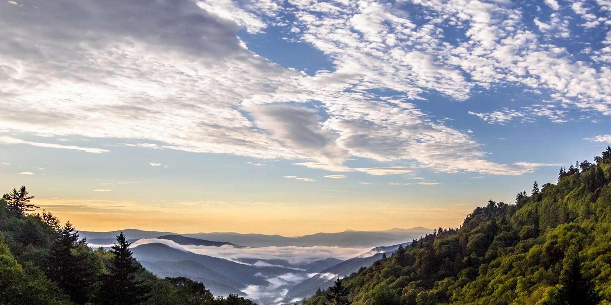 Pigeon Forge Smoky Mountains Jeep Tour - Image 4