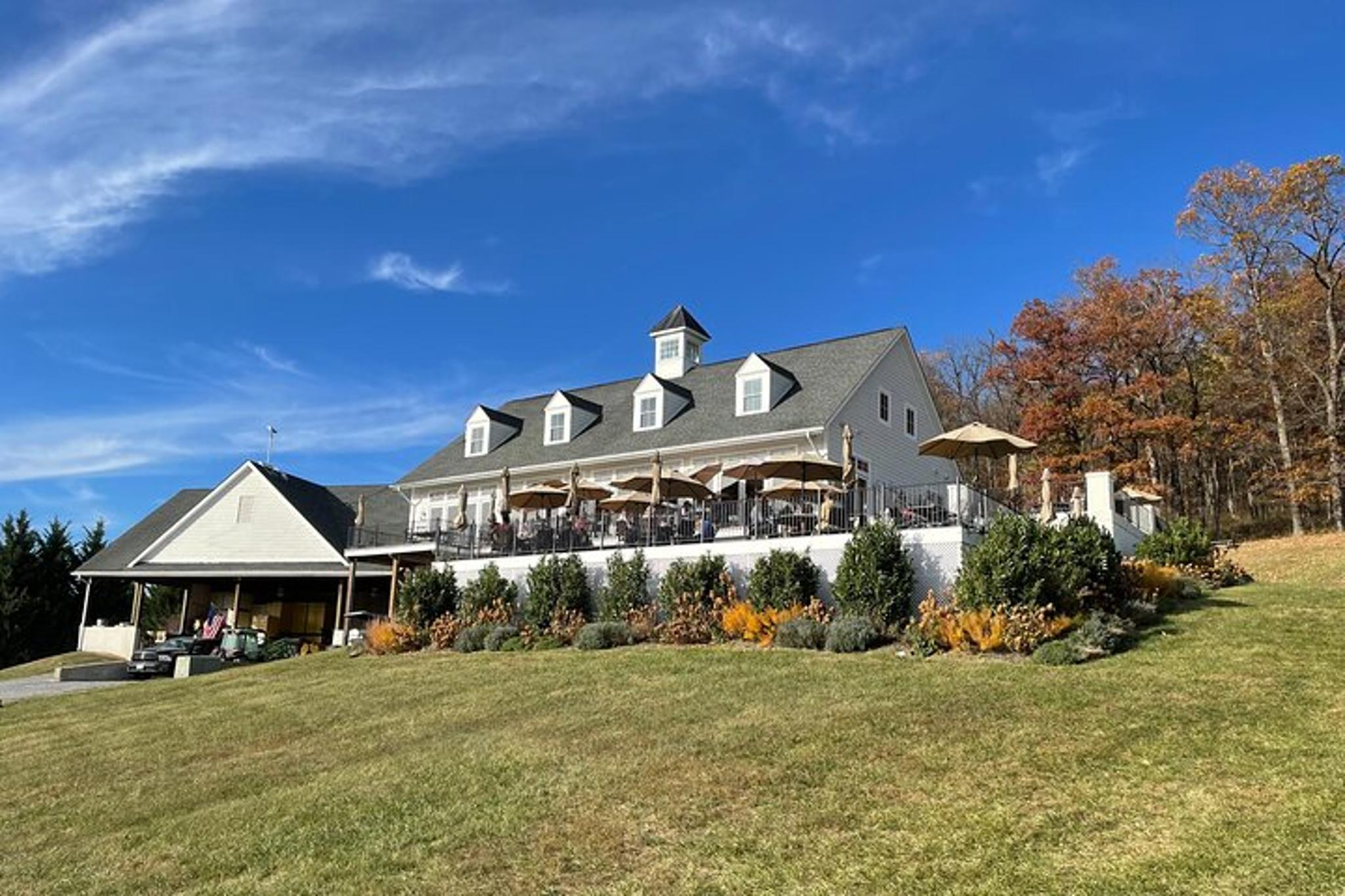 Virginia Winery Excursion by Luxury Vehicle - Image 6