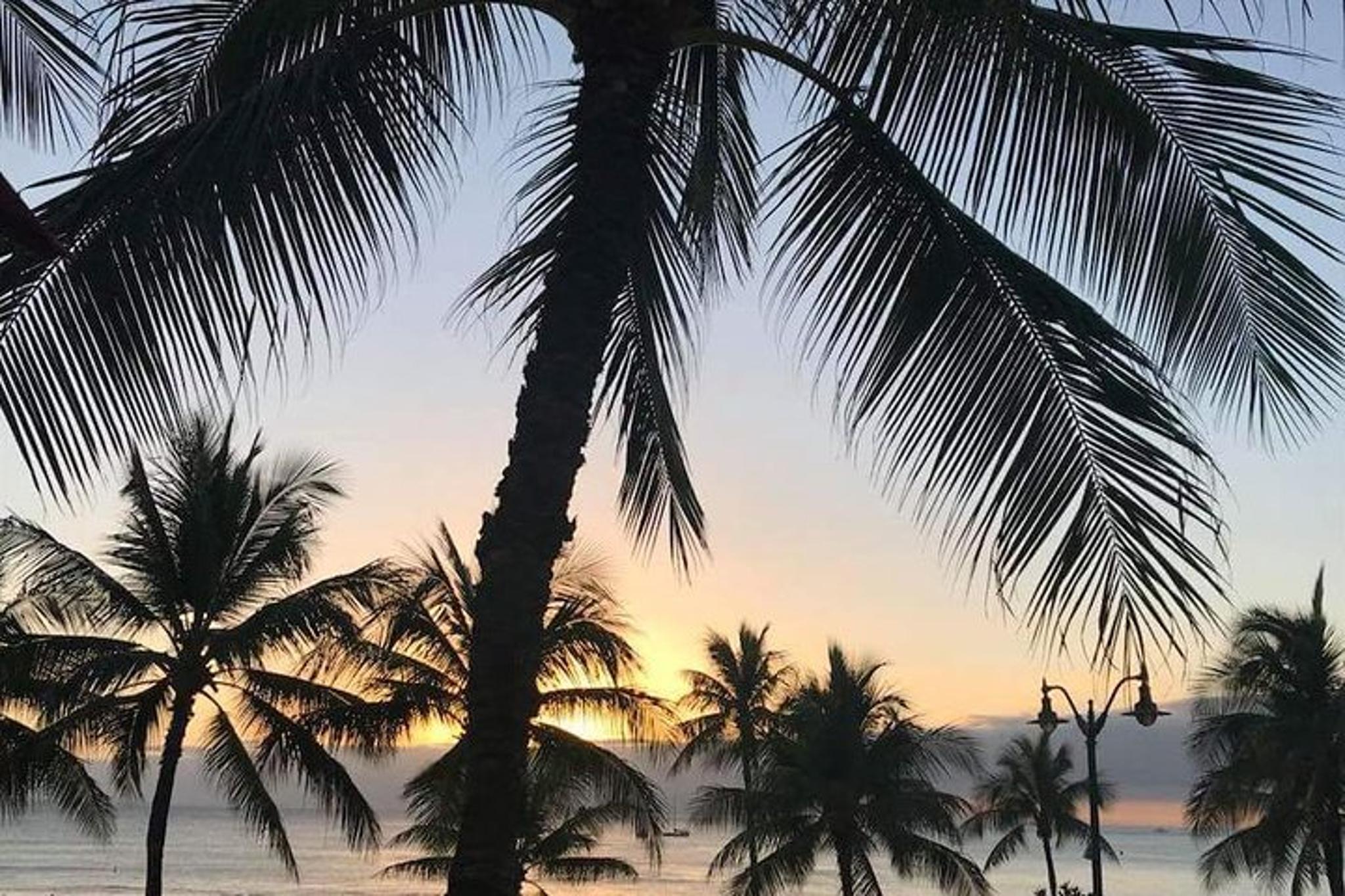 Oahu Private Tour - Image 3