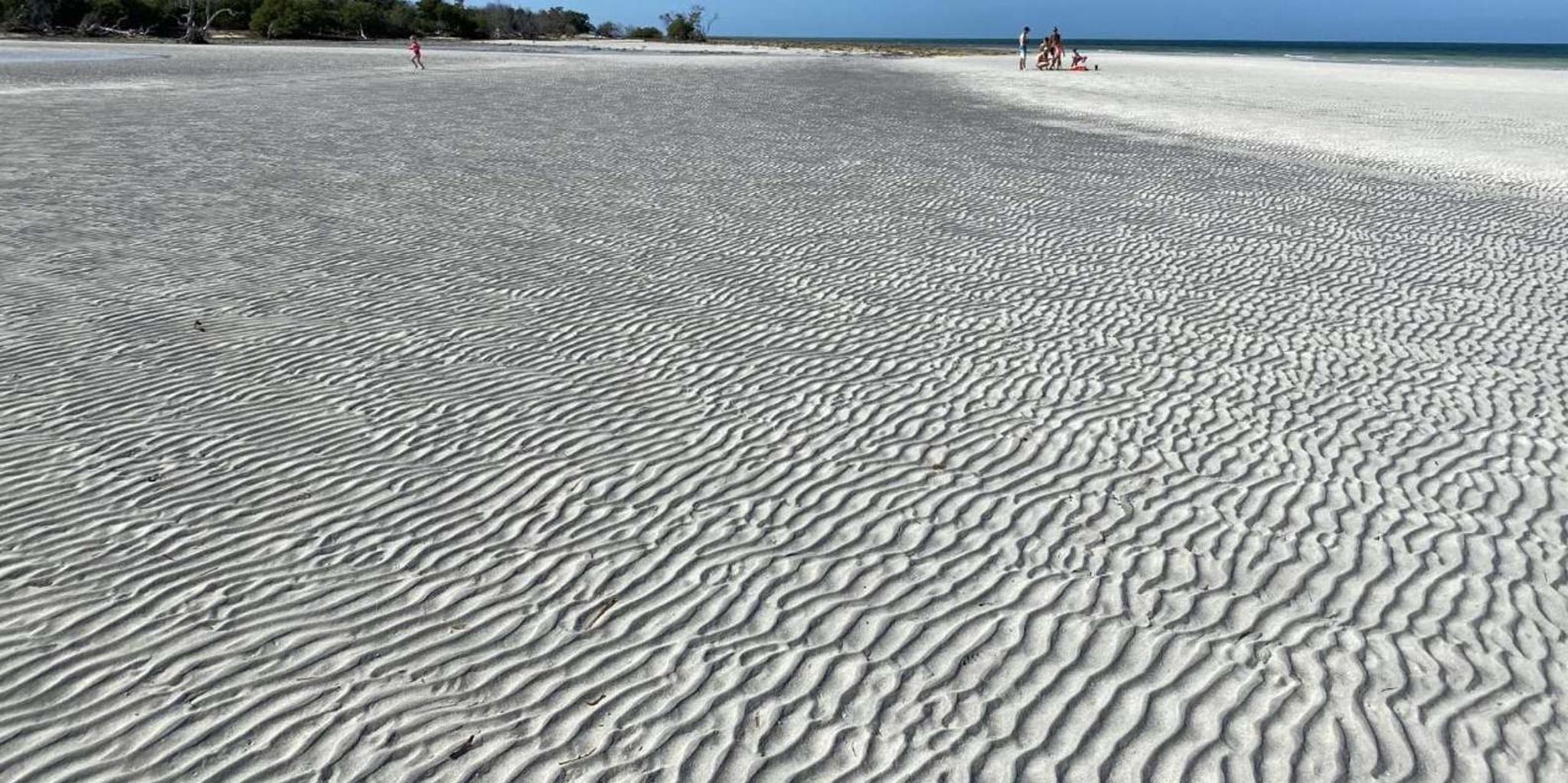 Key West Sandbar Boat Tour and Swim - Image 5