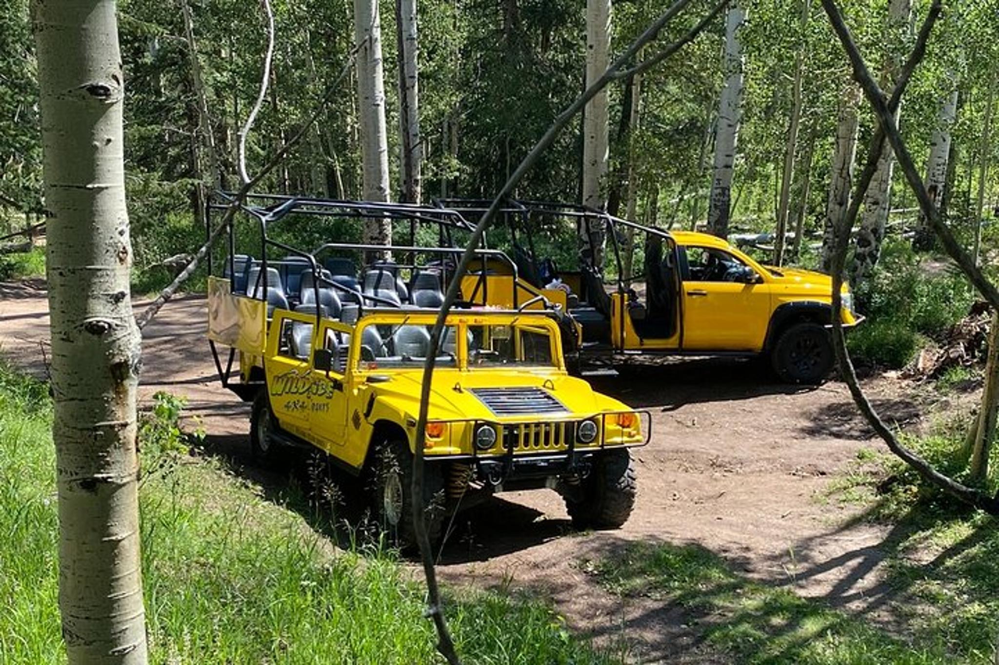 Estes Park 4x4 Marshmallow Adventure - Image 2