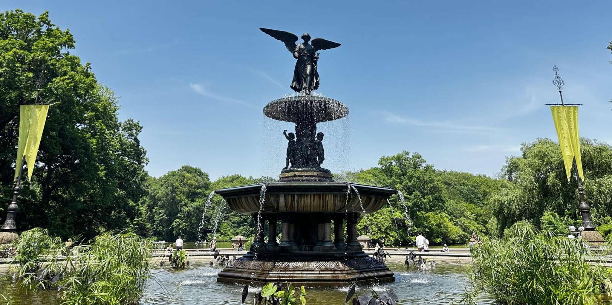 New York Central Park Horse Carriage Ride - Image 5