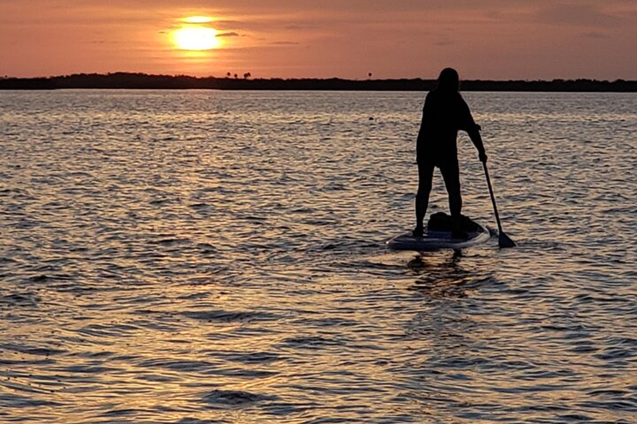 Oak Hill Bioluminescence Paddle Tour - Image 5