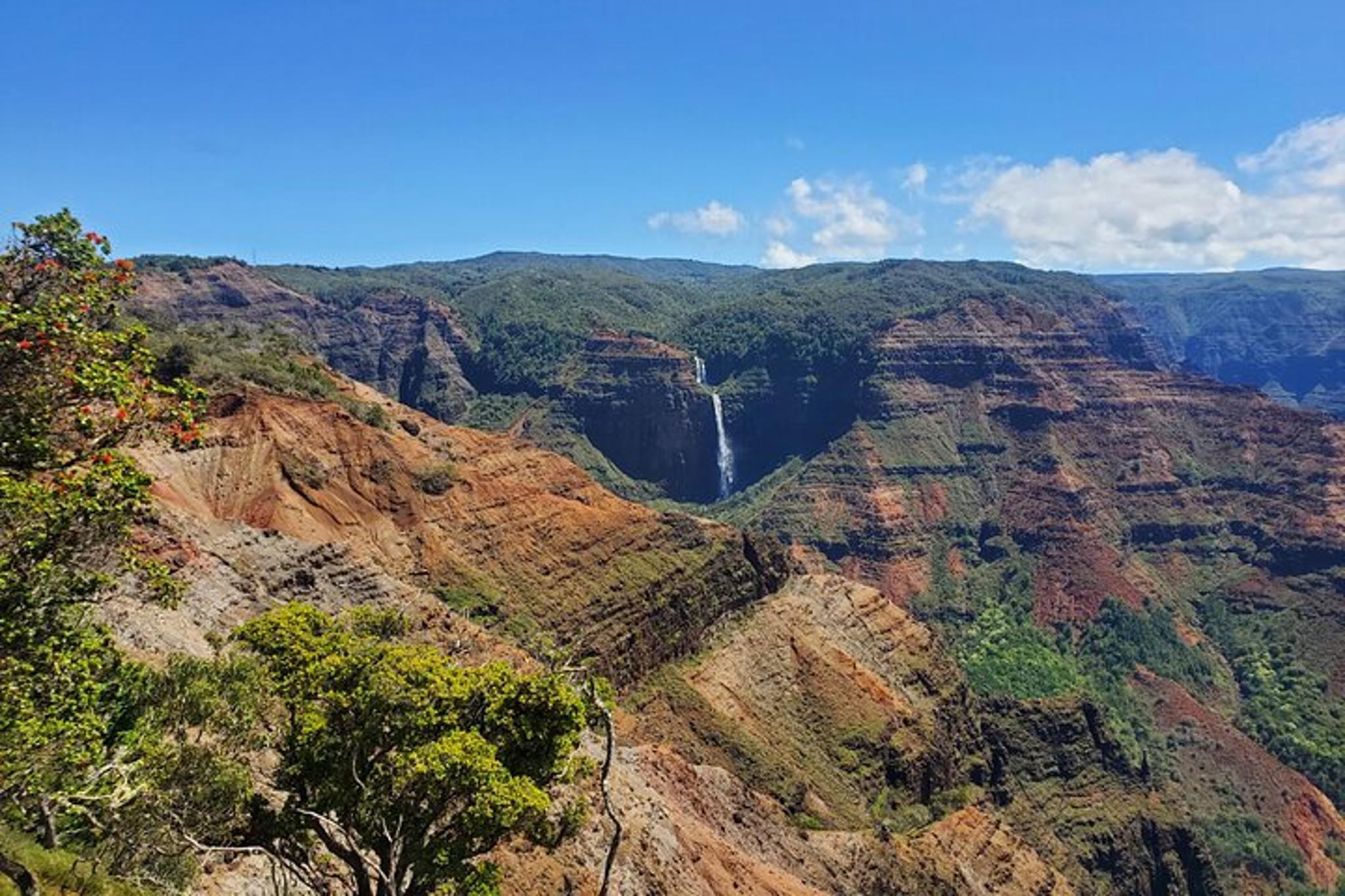 Kauai Island Movie Tour from Poipu - Image 5