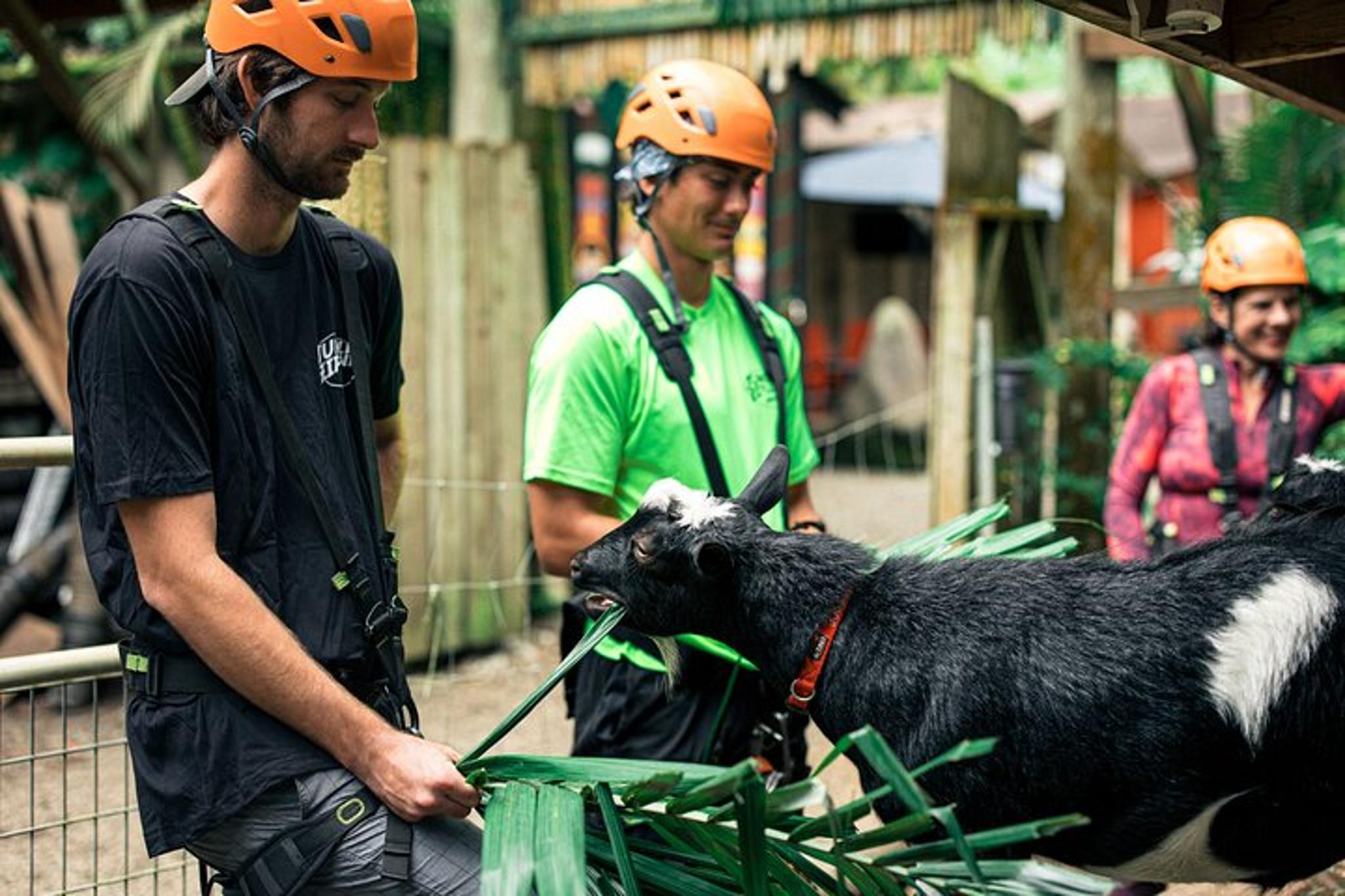 Maui Jungle Zipline Eco Adventure - Image 3