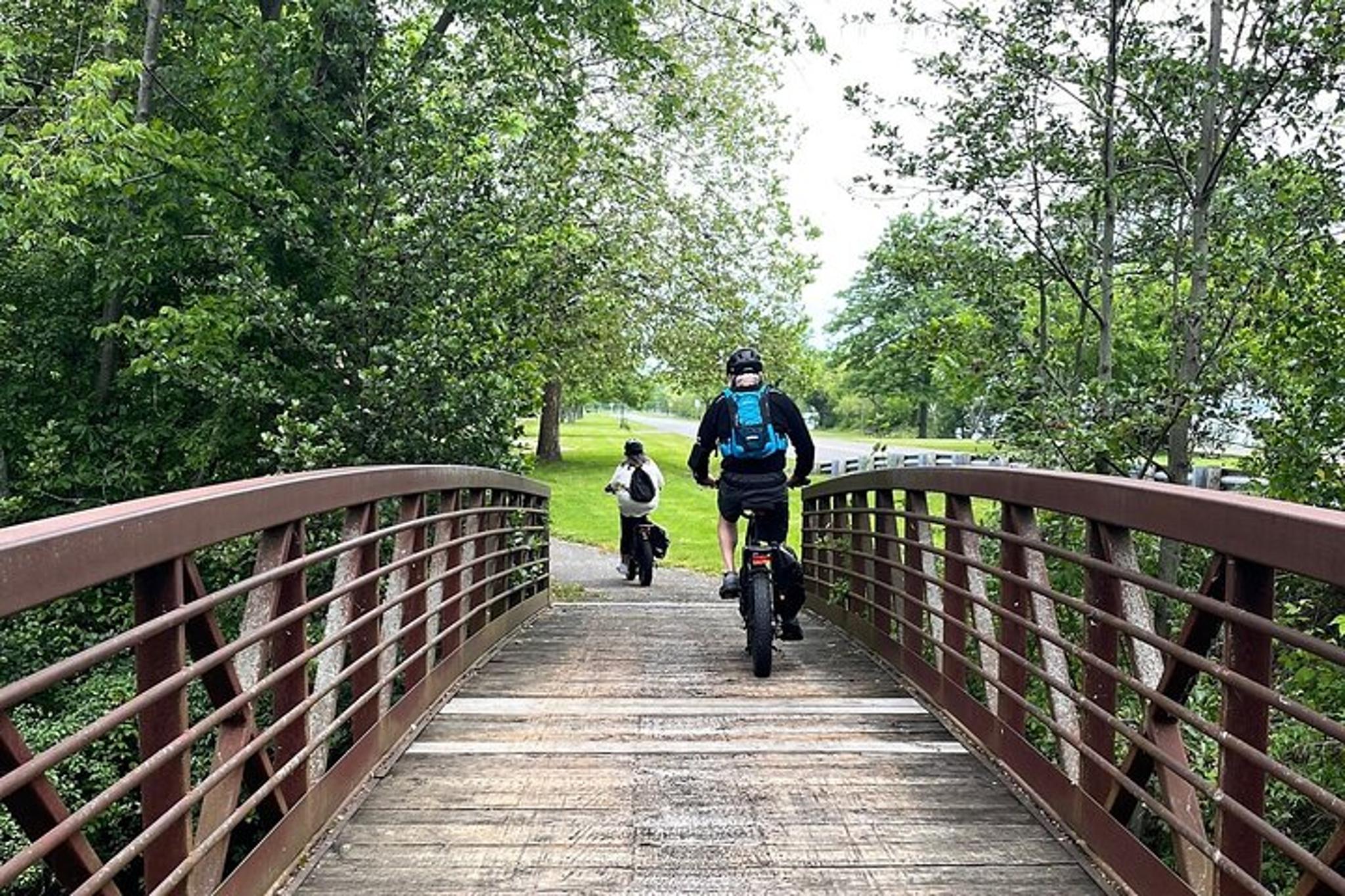 Buffalo Niagara Falls E-Bike Tour - Image 2