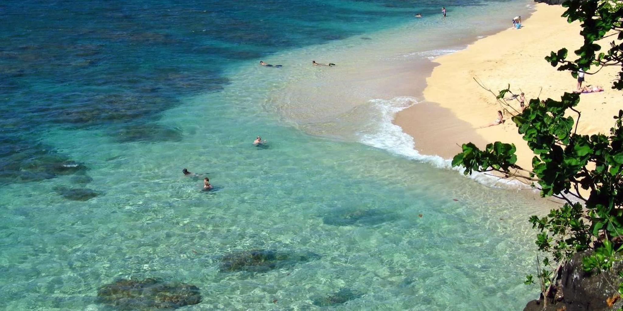 Kauai Private Tour - Image 2