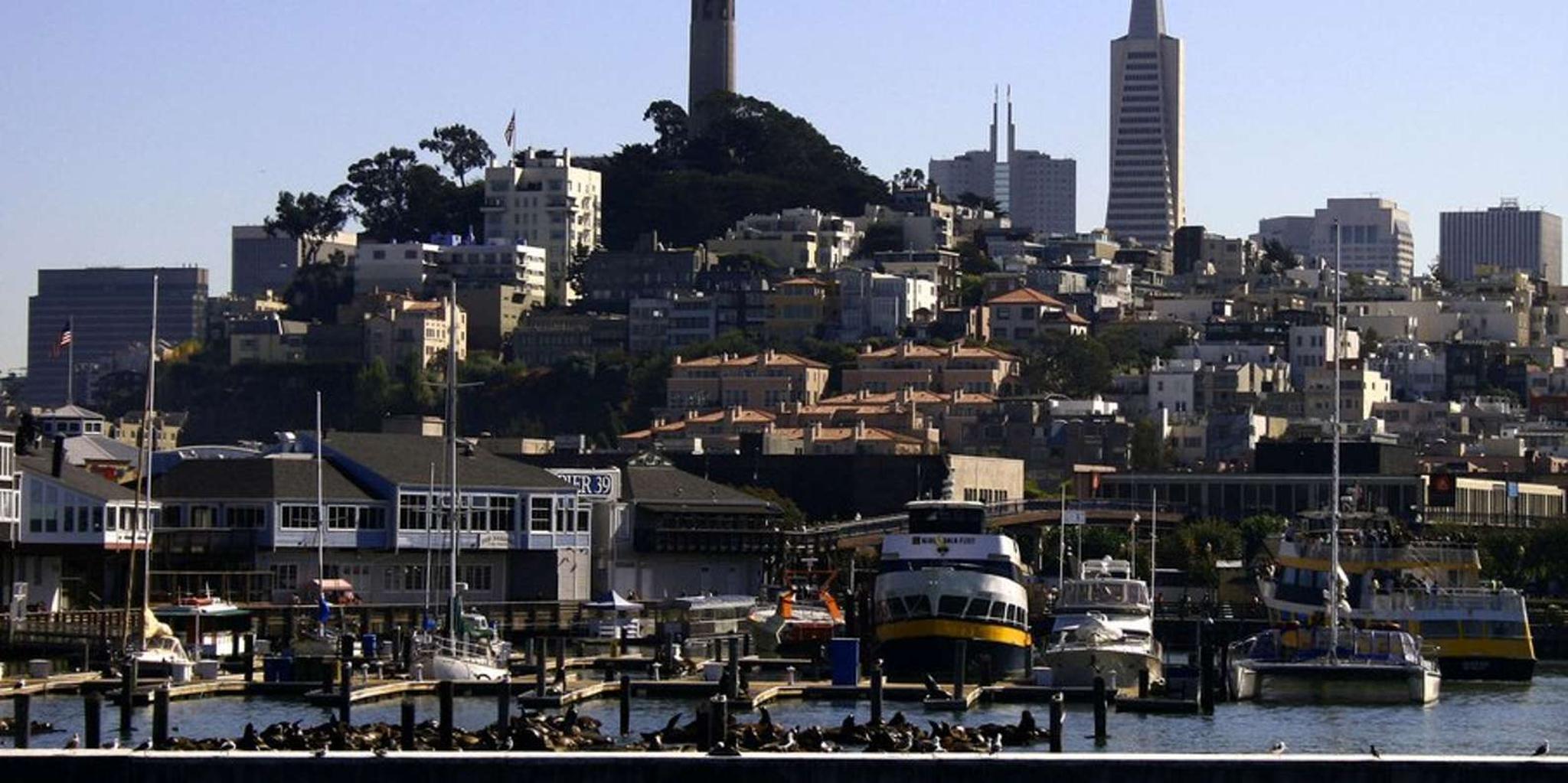 San Francisco City Bus Tour and Bay Cruise - Image 2