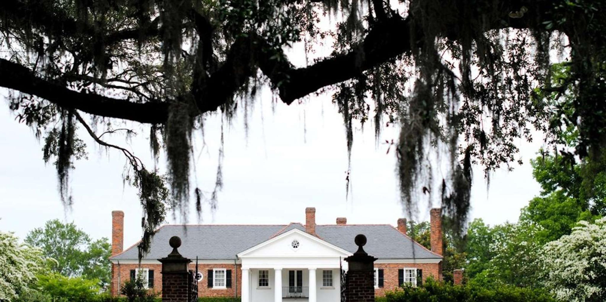 Charleston Historic District & Plantation Private Tour - Image 4