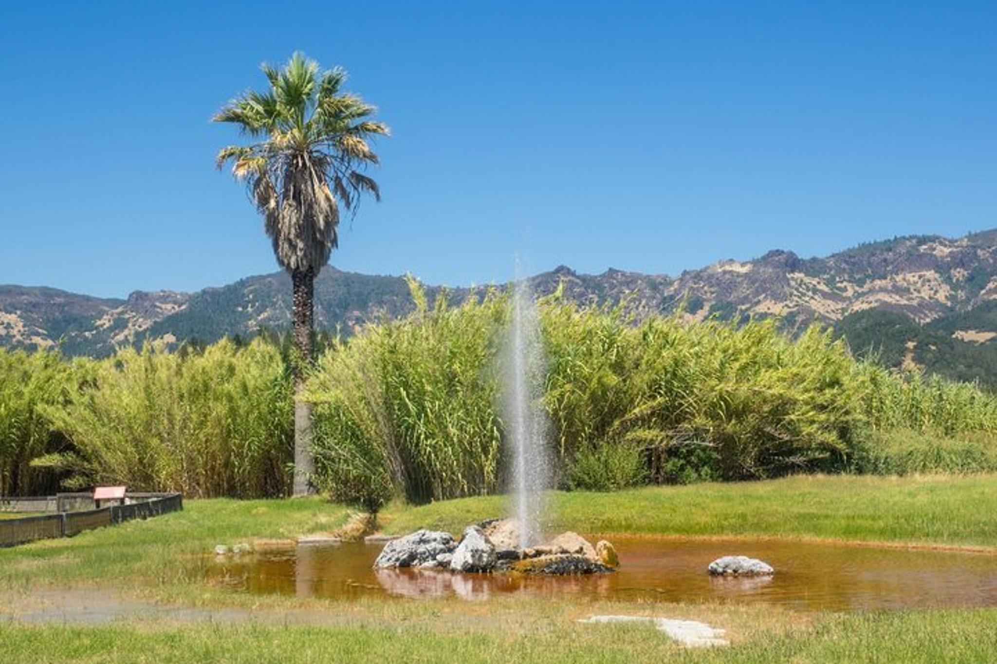 Sonoma & Napa Valley Self-Guided Audio Tour - Image 5