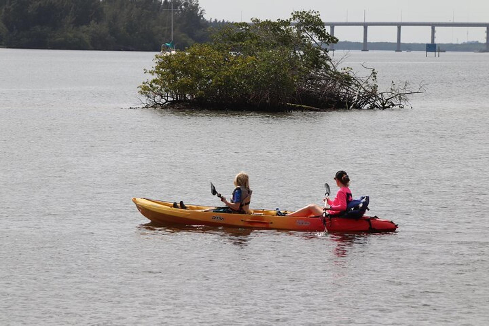 Vero Beach Kayak and Paddle Board Tour - Image 6