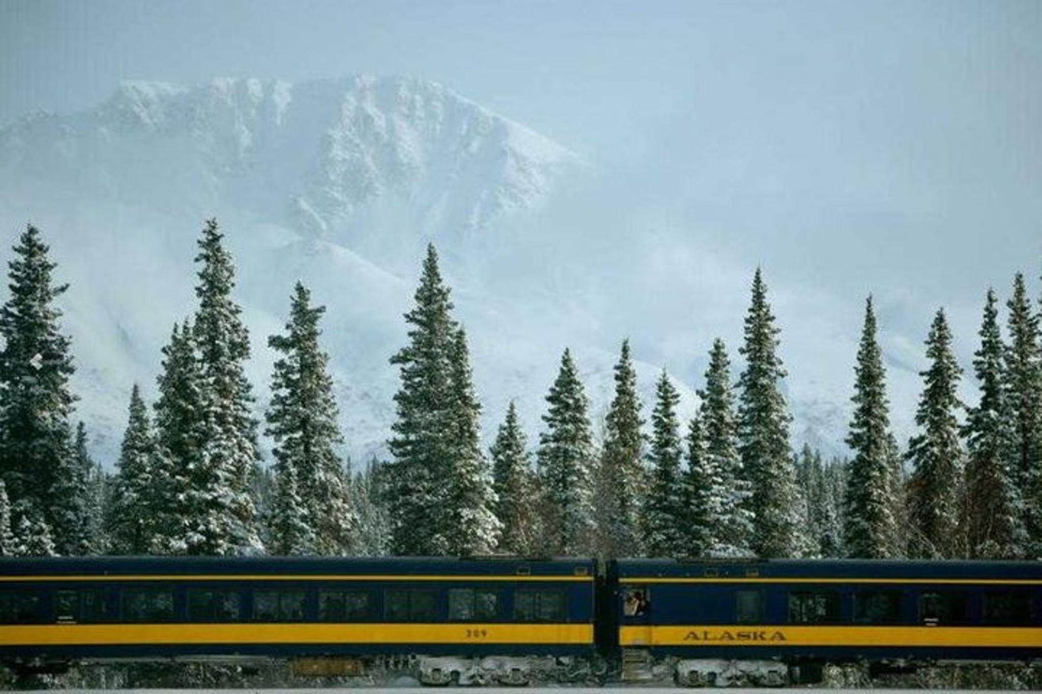 Anchorage to Denali Train Journey - Image 6