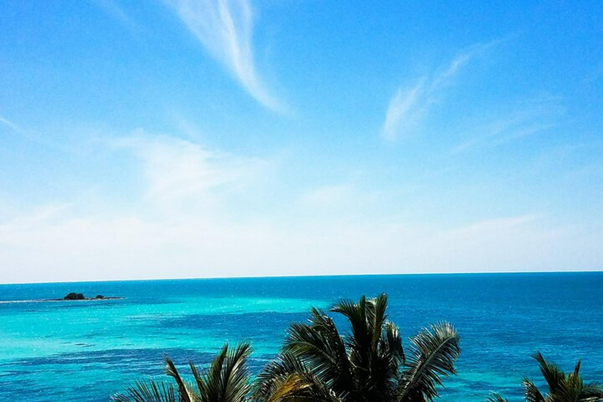 Miami to Key West Full-Day Tour - Image 2