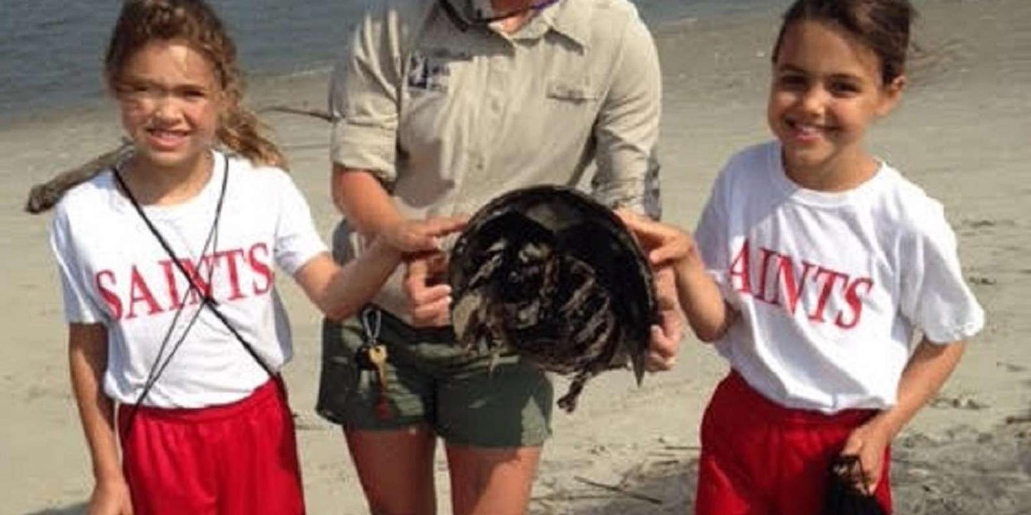 Charleston Nature Boat Tour with Naturalist - Image 4