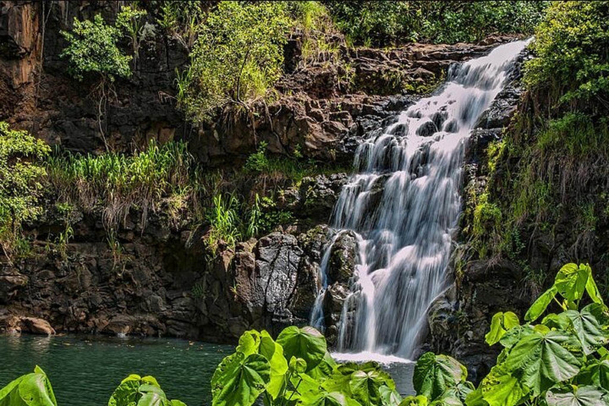 Oahu Circle Island Tour with Waimea Waterfall - Image 2
