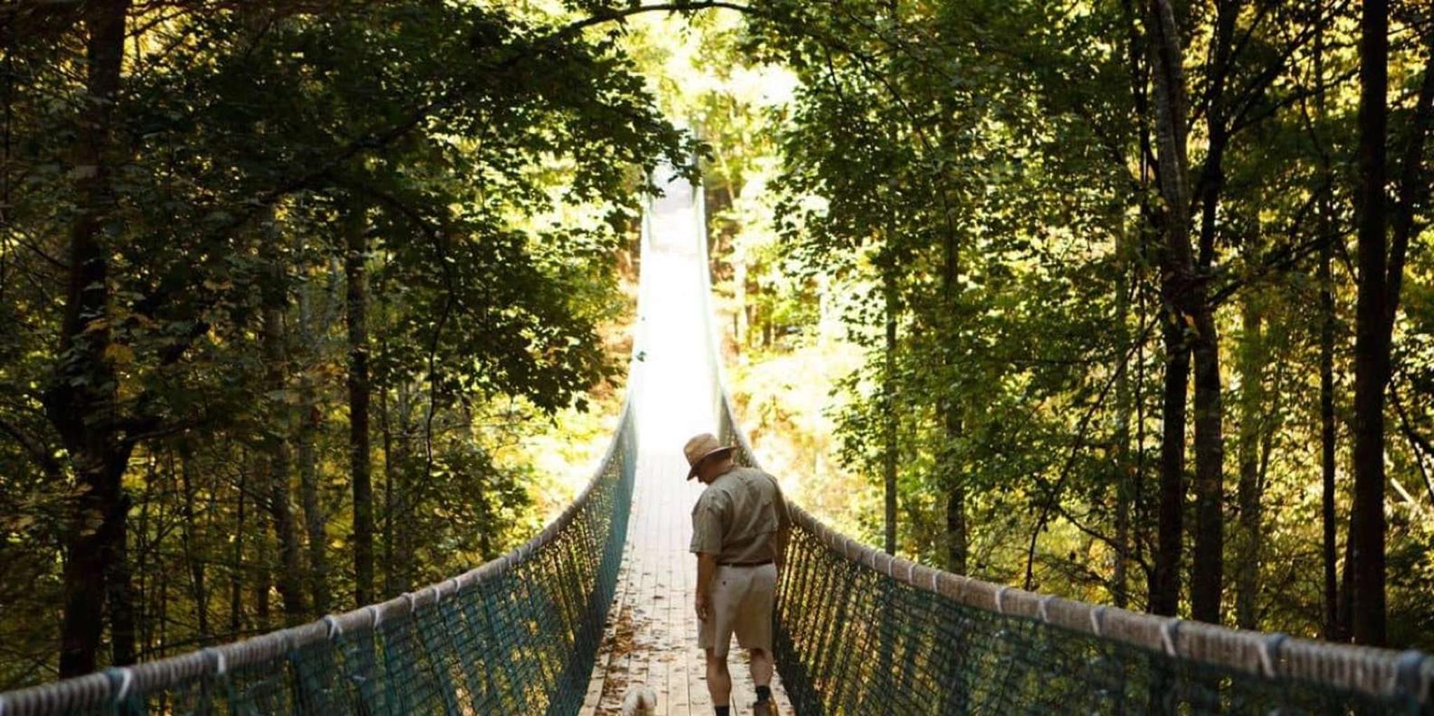 Sevierville Hiking & Swinging Bridge Adventure