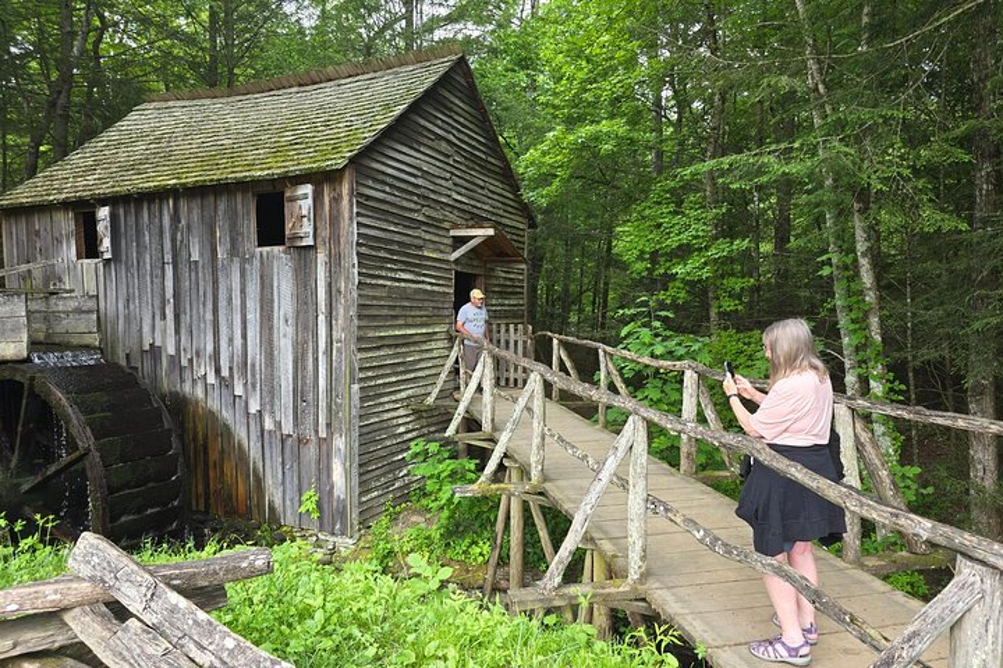 Cades Cove and Foothills Parkway Spring Tour - Image 6