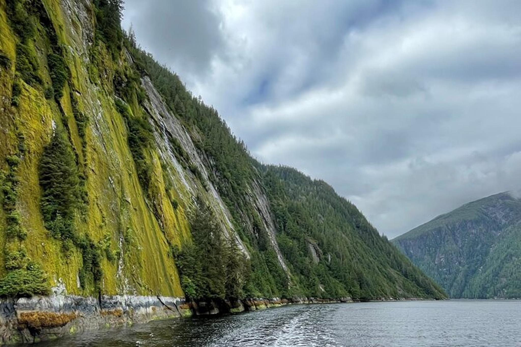 Ketchikan Misty Fjords Wilderness Explorer - Image 5