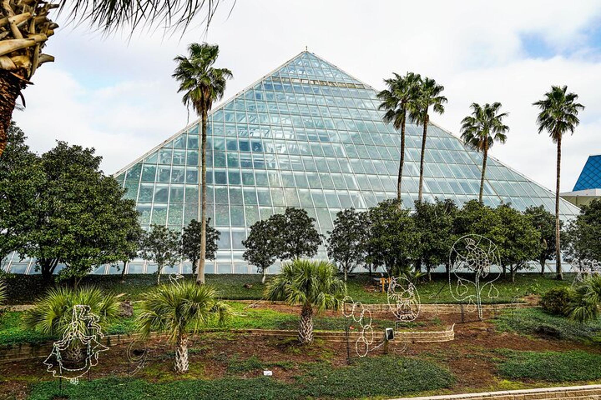 Galveston Island Coastal Adventure - Image 2