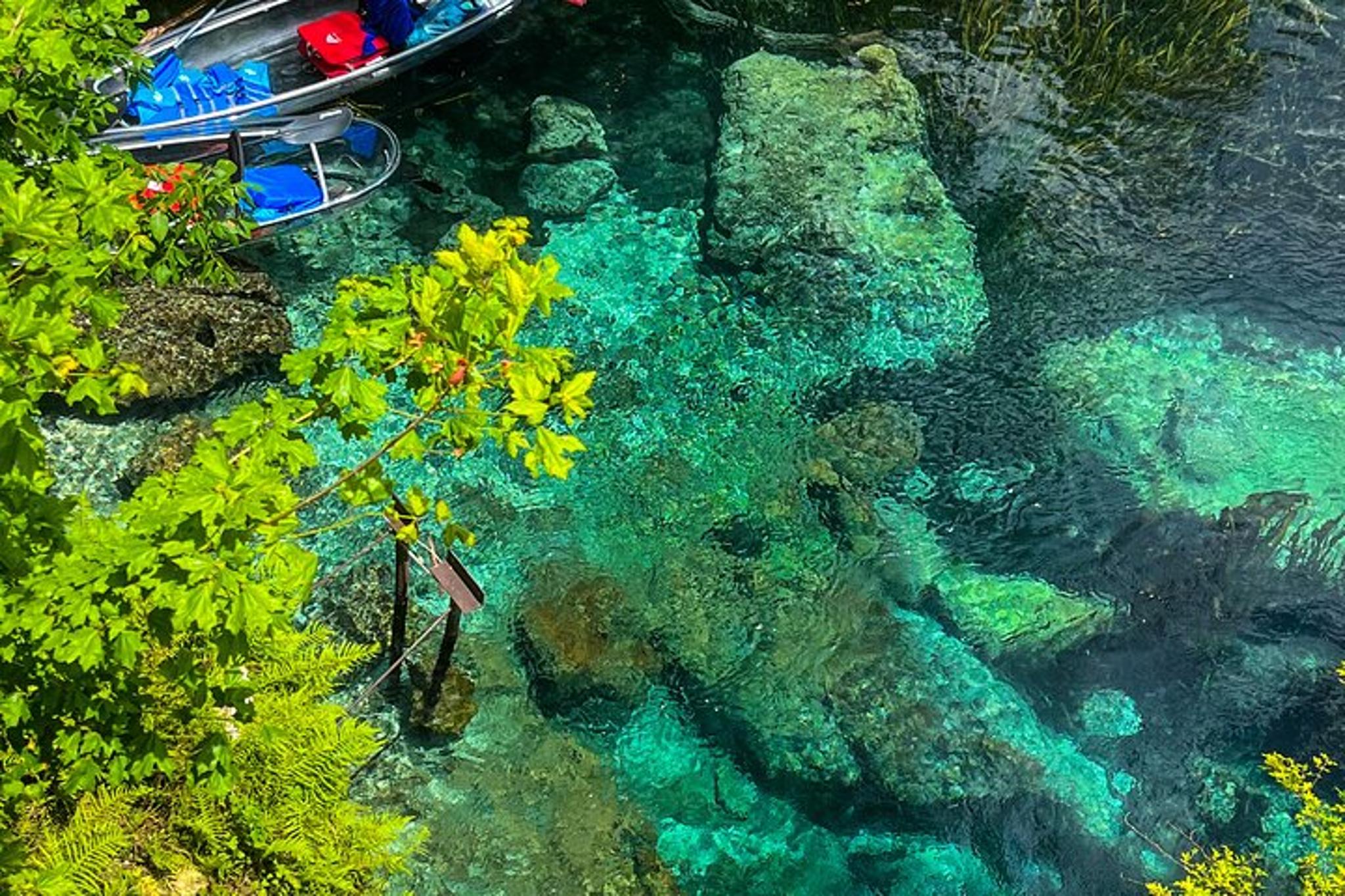 Marianna Clear Kayaking Eco Adventure - Image 2