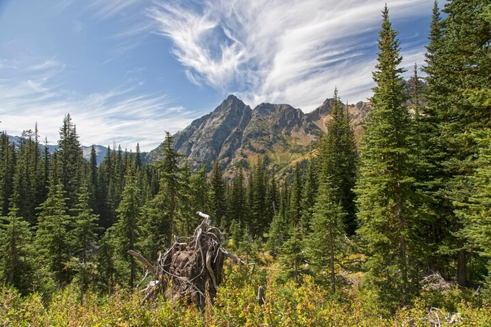 North Cascades Self-Guided Audio Driving Tour - Image 6