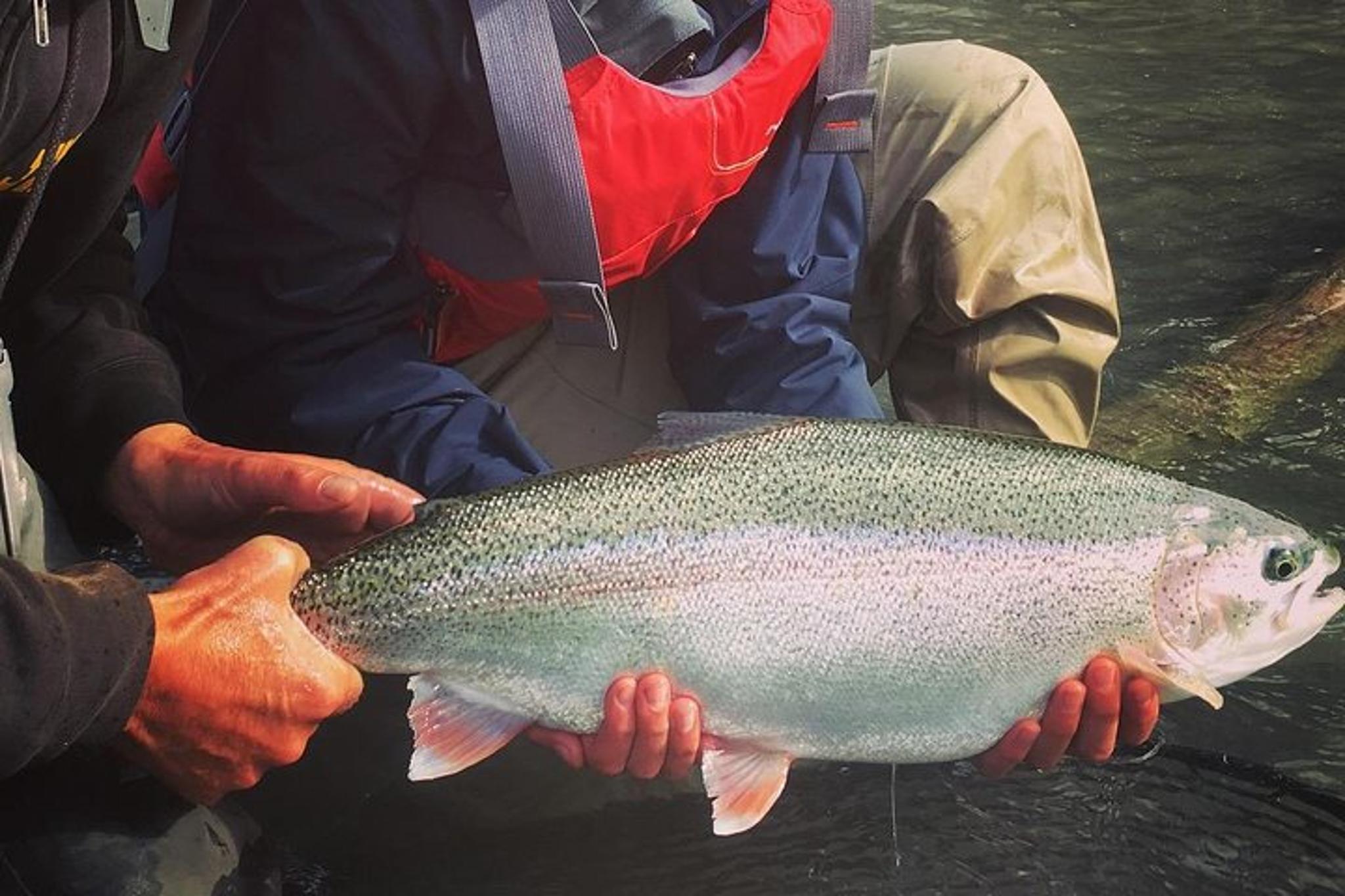 Kenai River Fishing Trip
