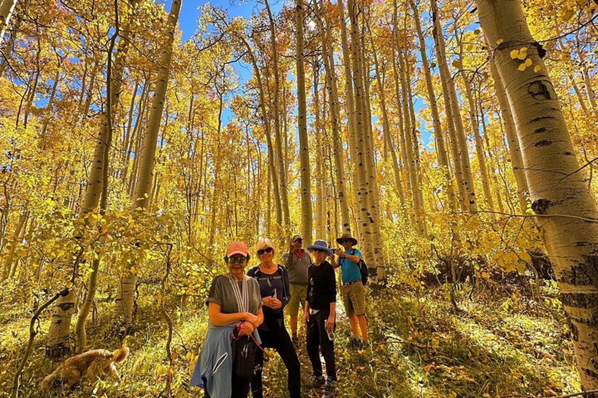Park City Scenic Mountain Hike - Image 2