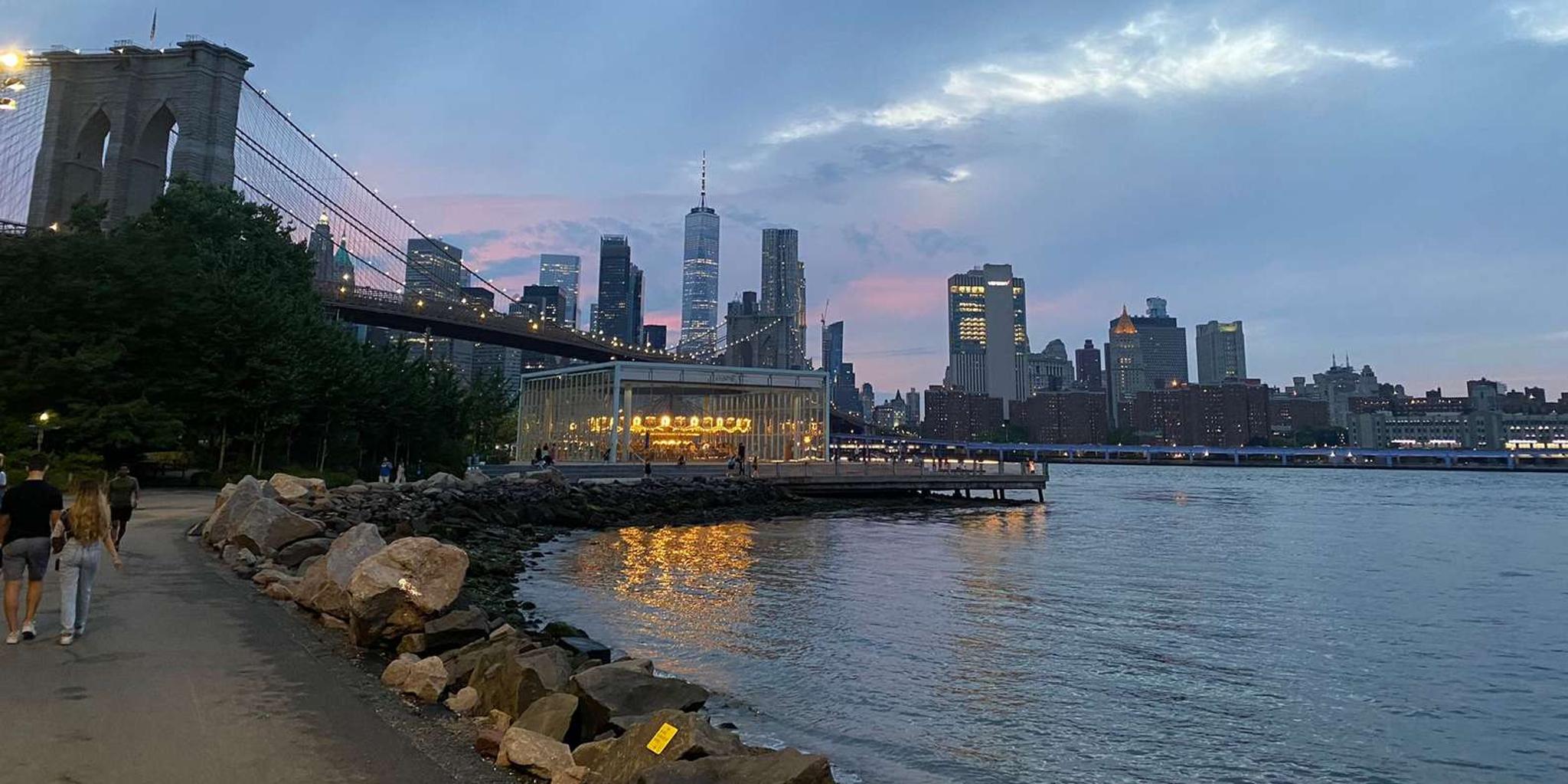 New York Night Tour in Italian - Image 3