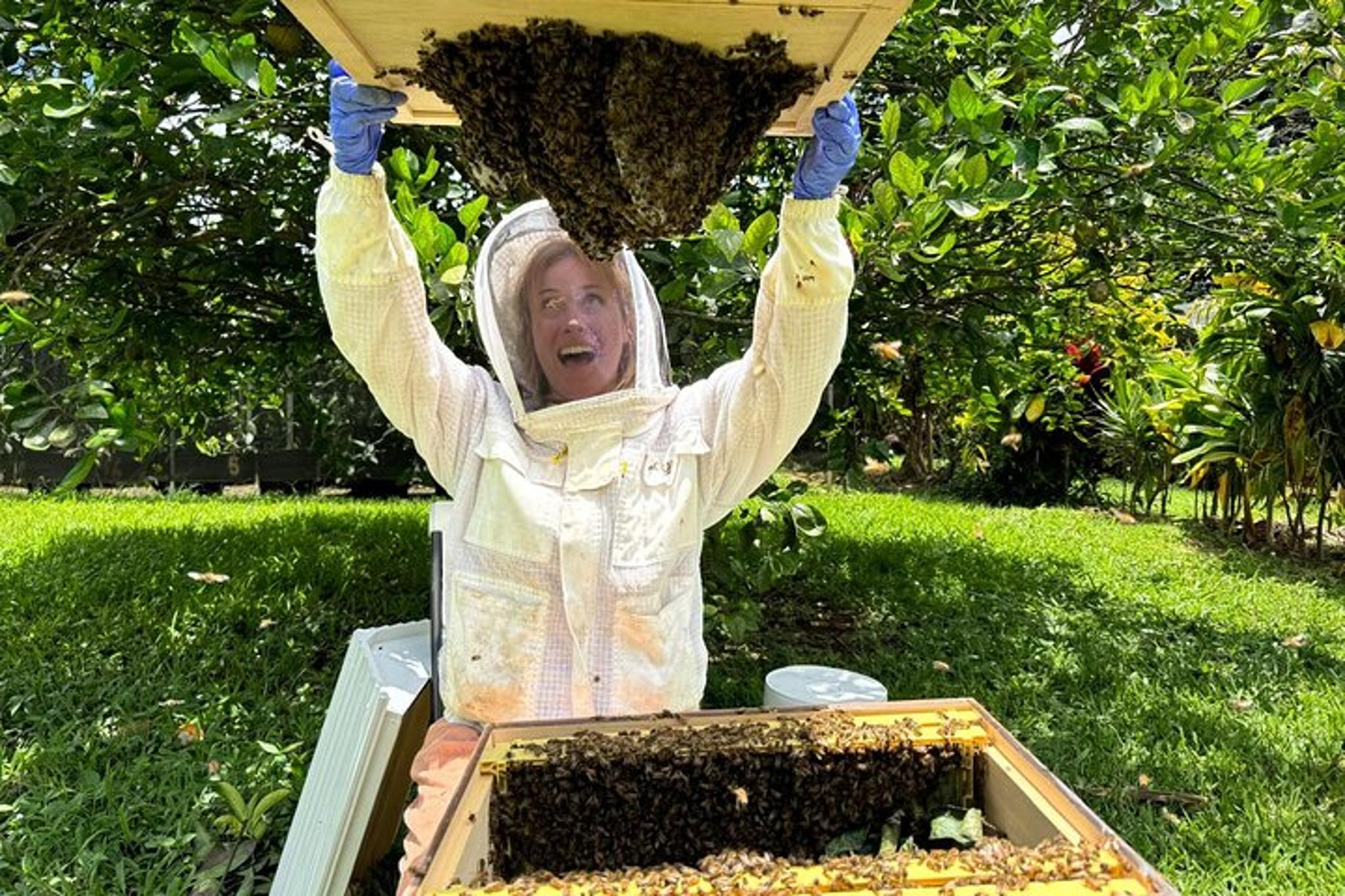 Kauai Honey and Bee Tour - Image 4