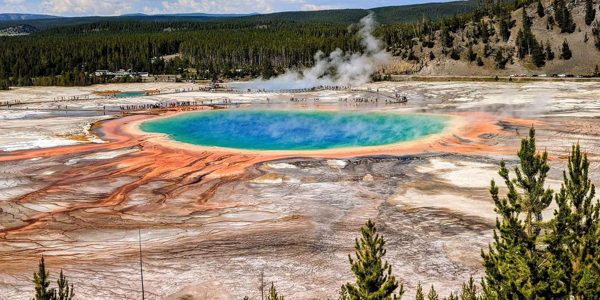 Yellowstone Private Lower Loop Tour with Lunch