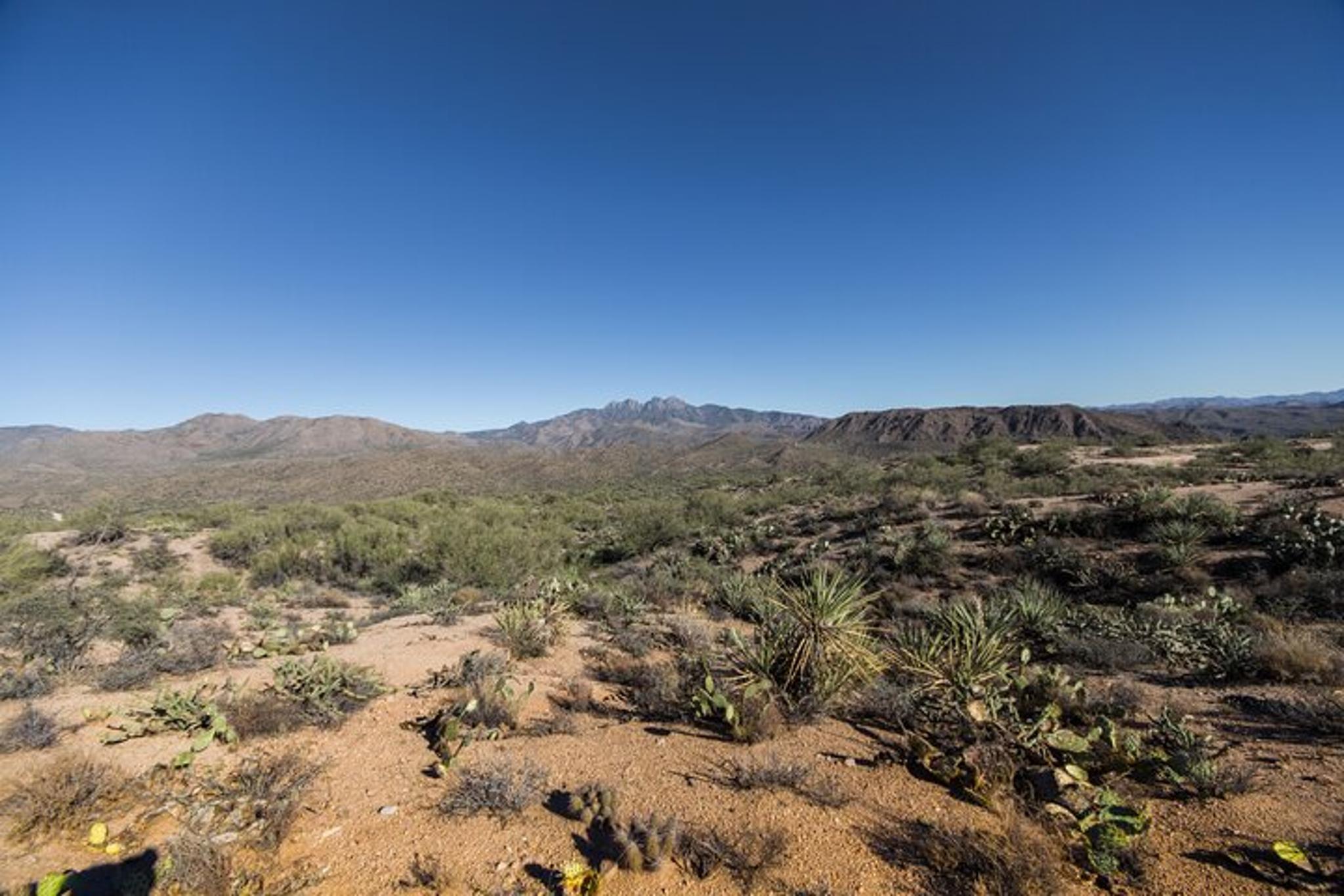Apache Trail Private Tour - Image 3
