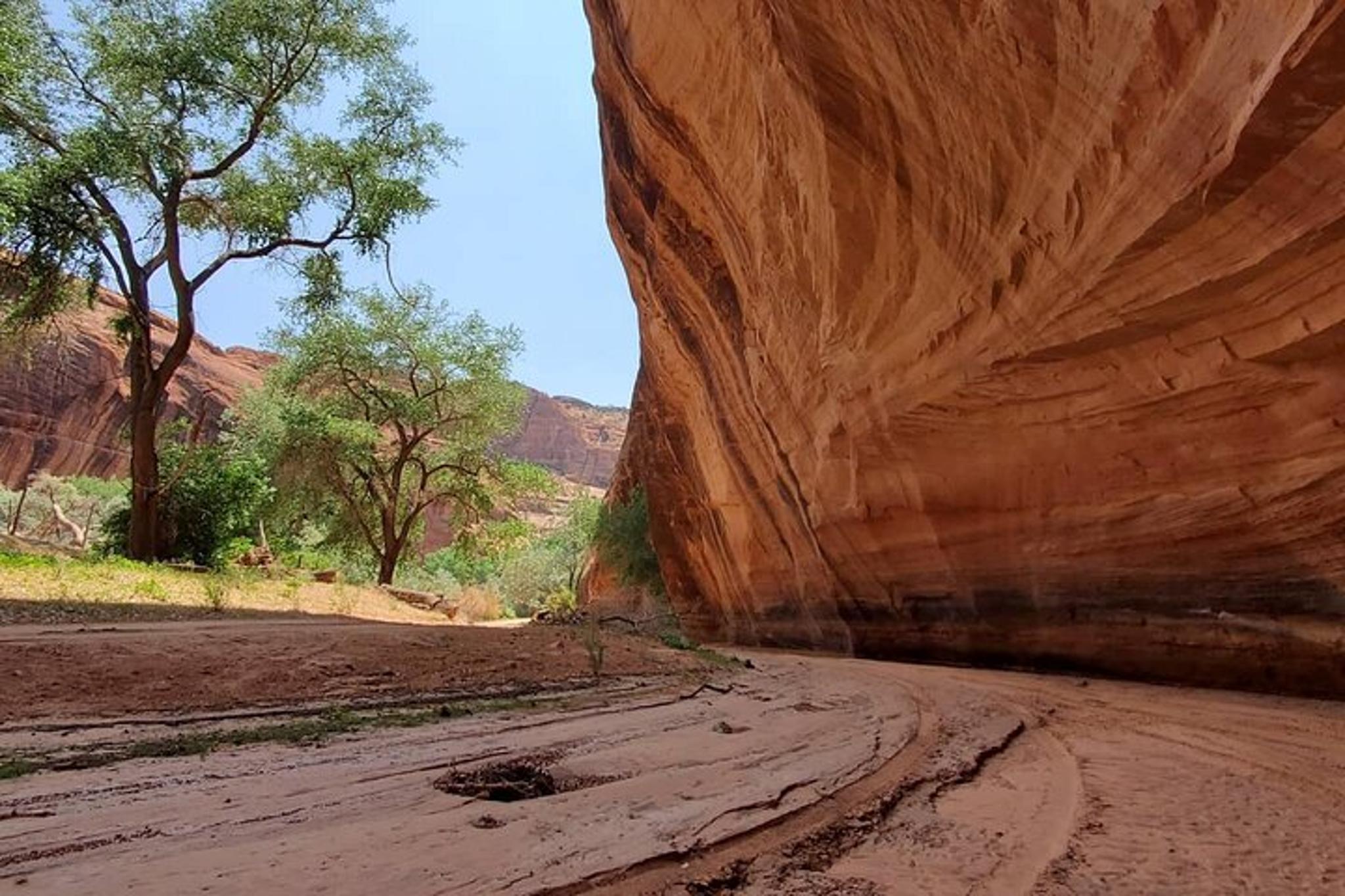 Canyon de Chelly Private Canyon Tour 3 hr - Image 5
