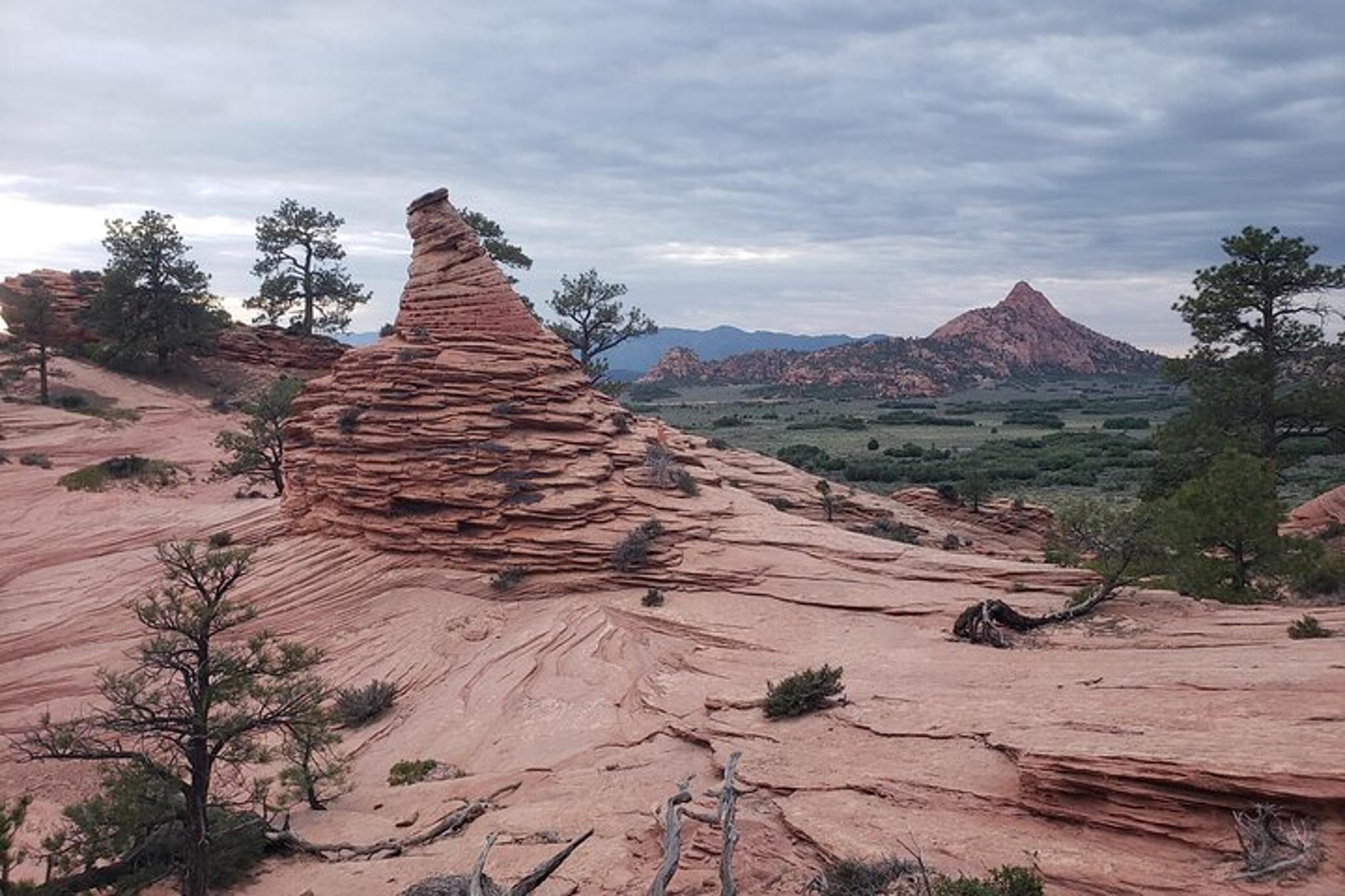 Zion National Park Kolob Terrace Sightseeing Tour - Image 6