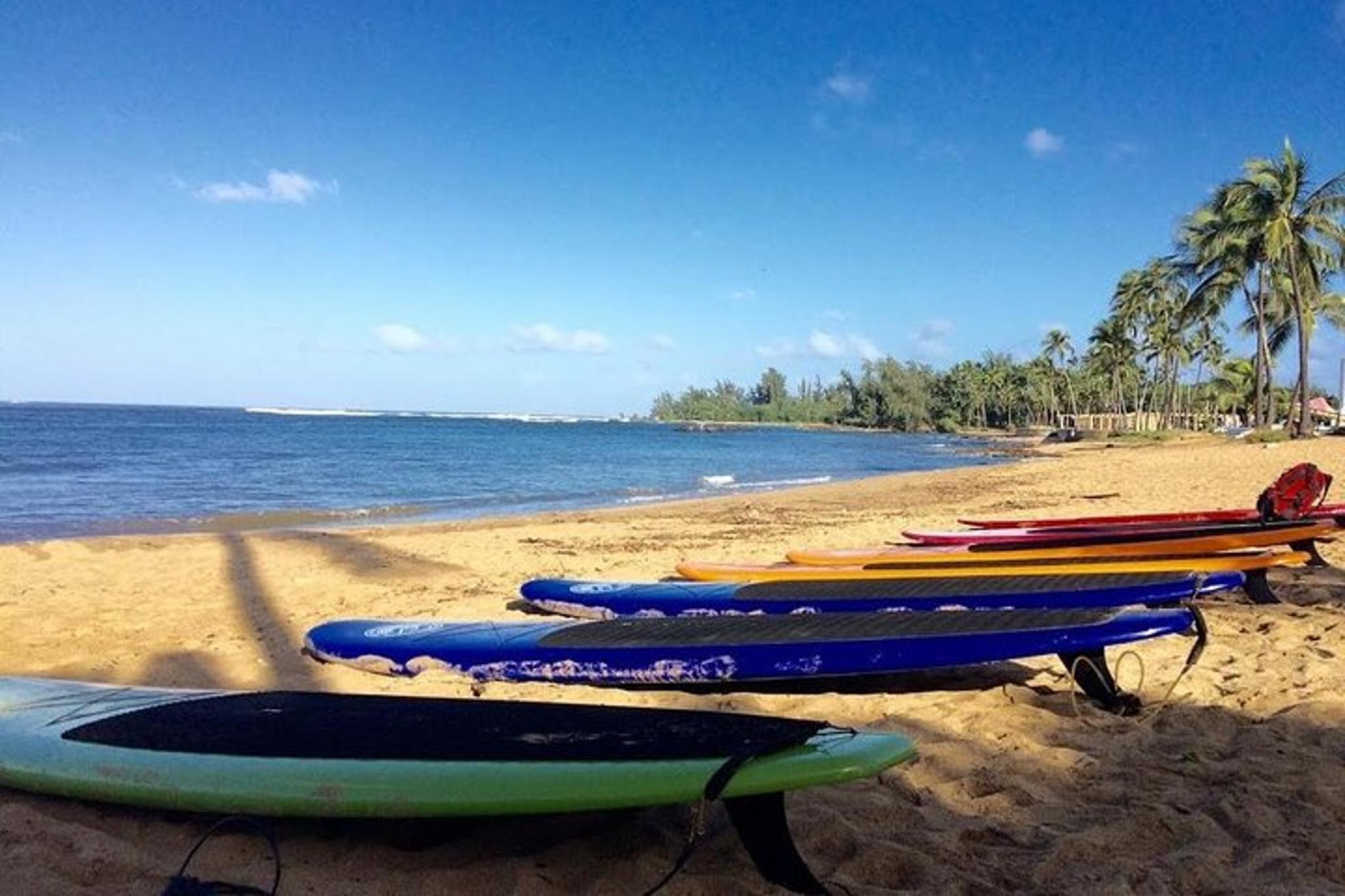 Haleiwa Stand Up Paddle Lesson and Tour - Image 6