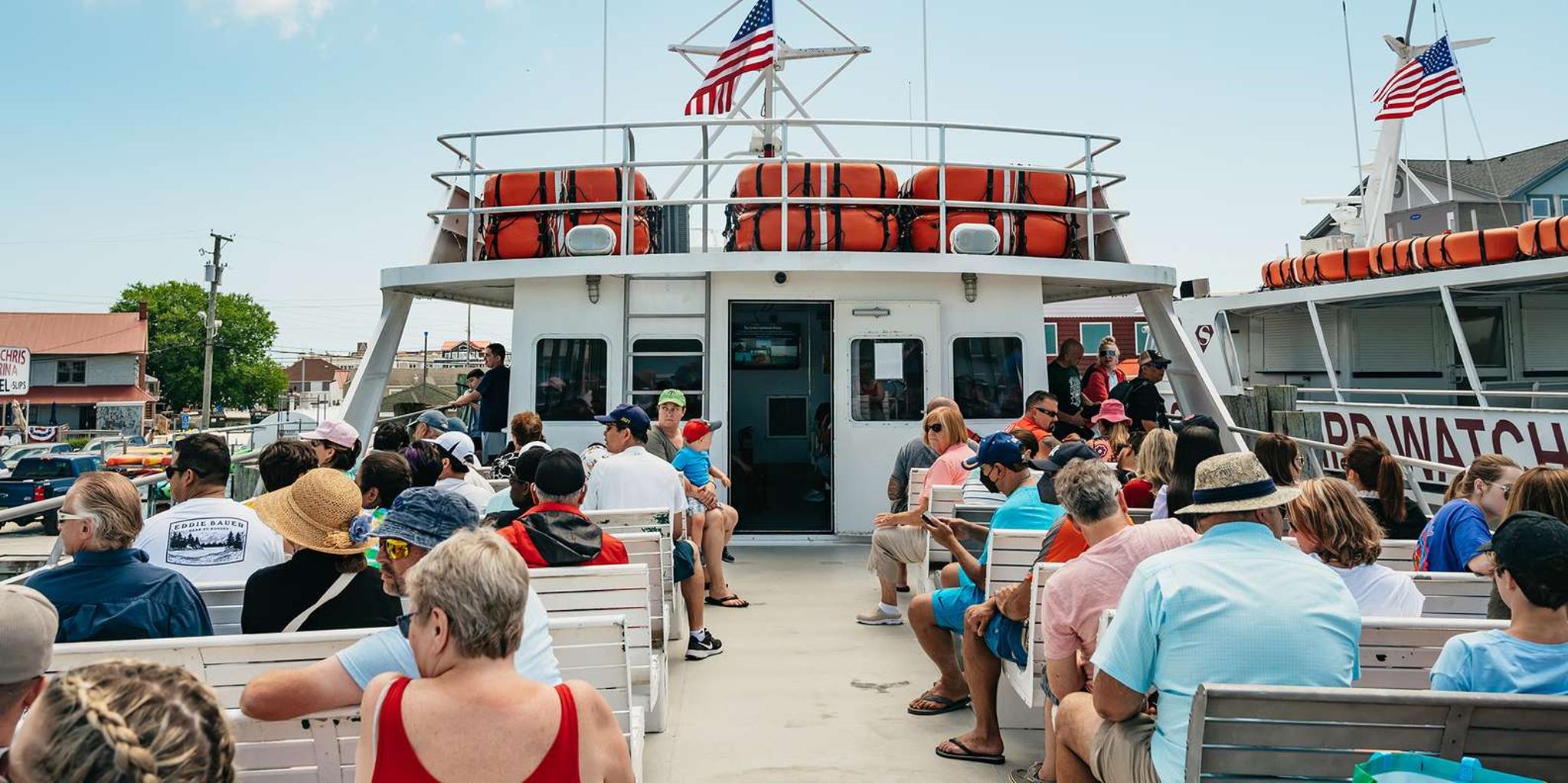 Cape May Whale and Dolphin Watching Cruise - Image 3