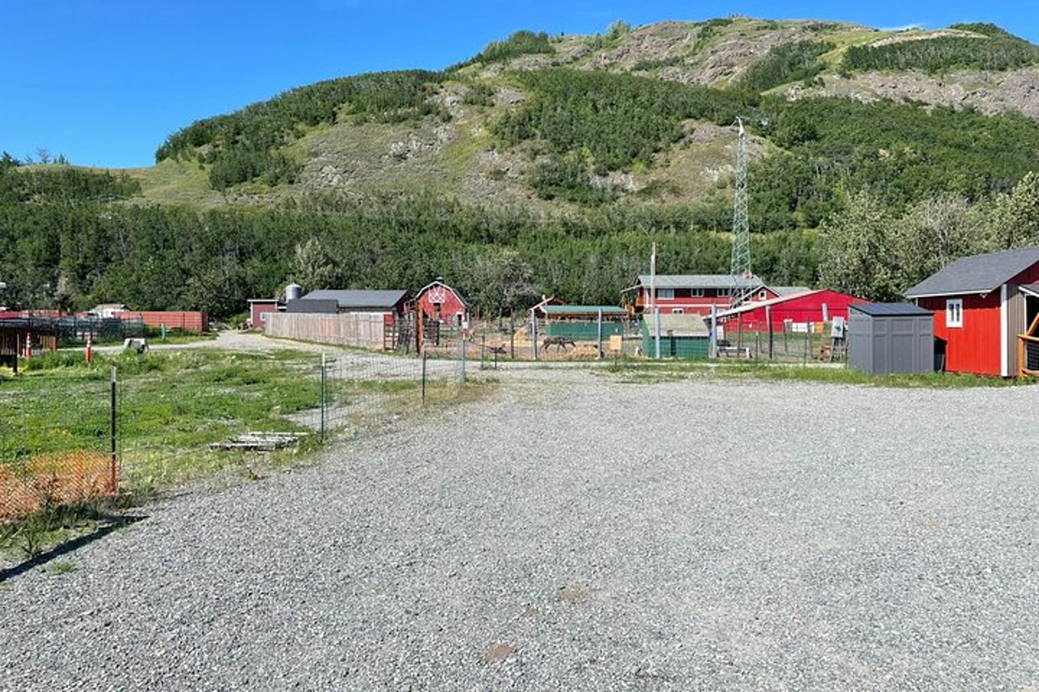 Anchorage Matanuska Valley and Farm Tour 8 hr - Image 3