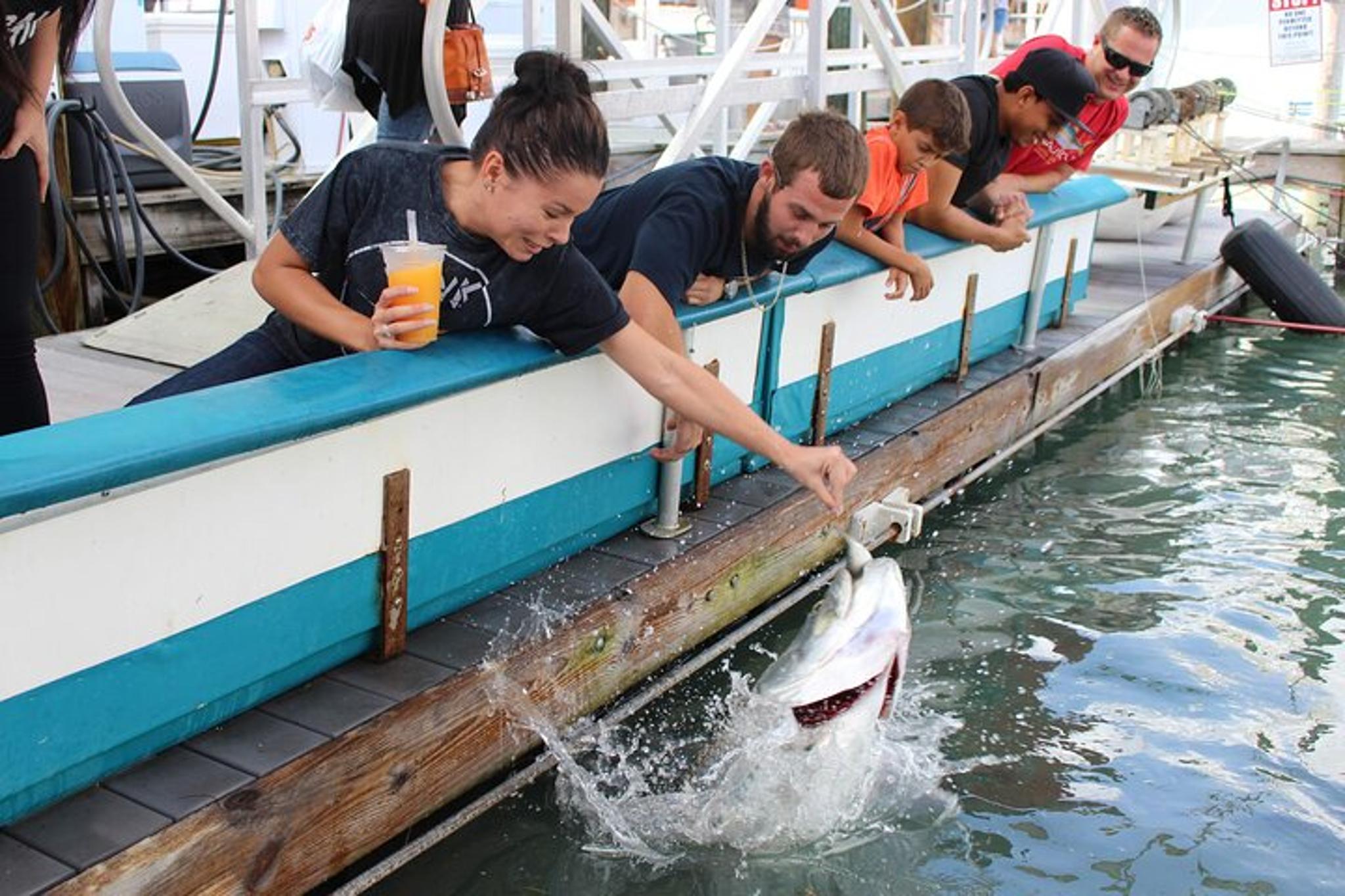 Miami Tarpon Fish Feeding Experience