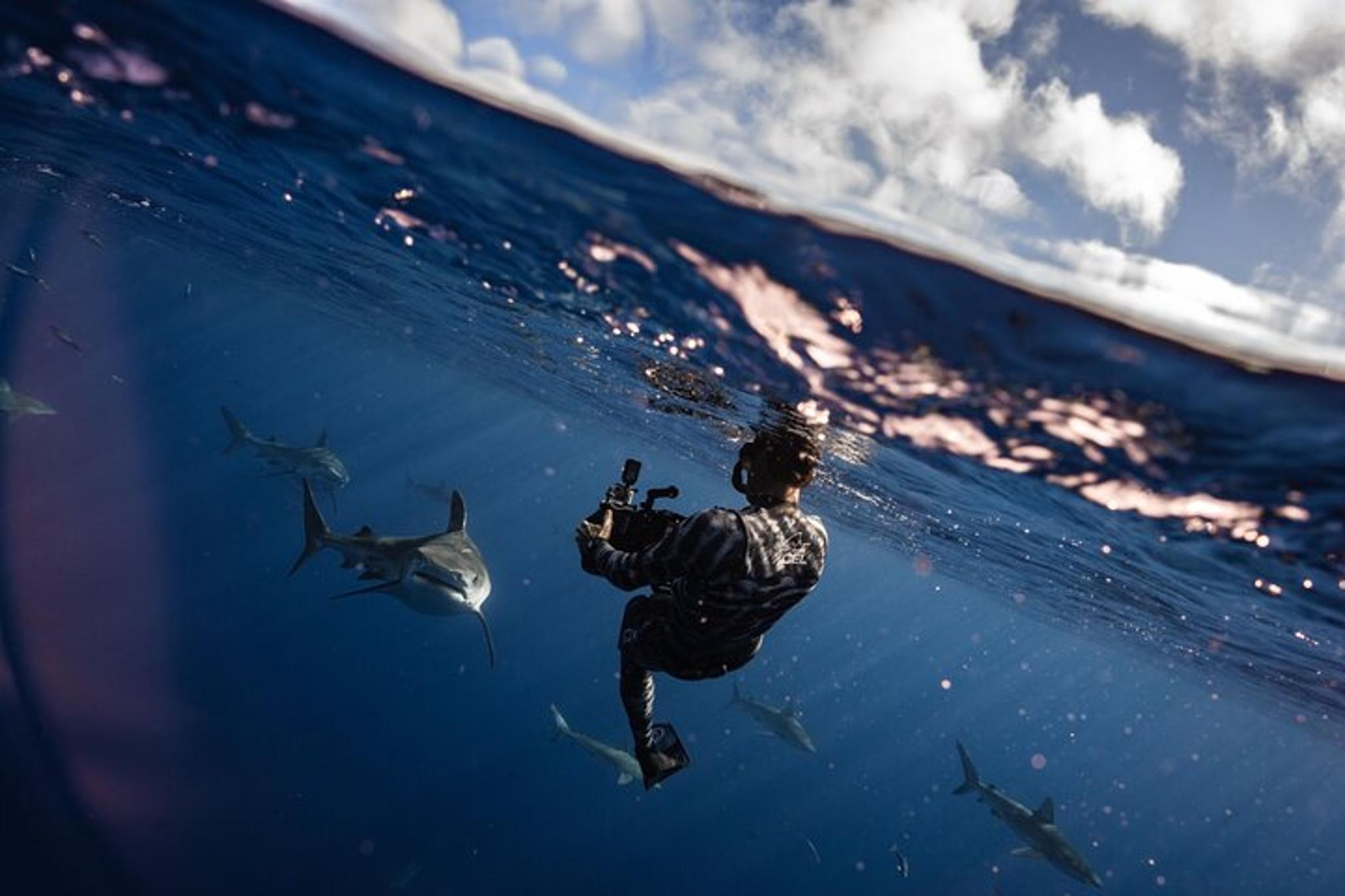Haleiwa Ocean Adventure Dive - Image 5